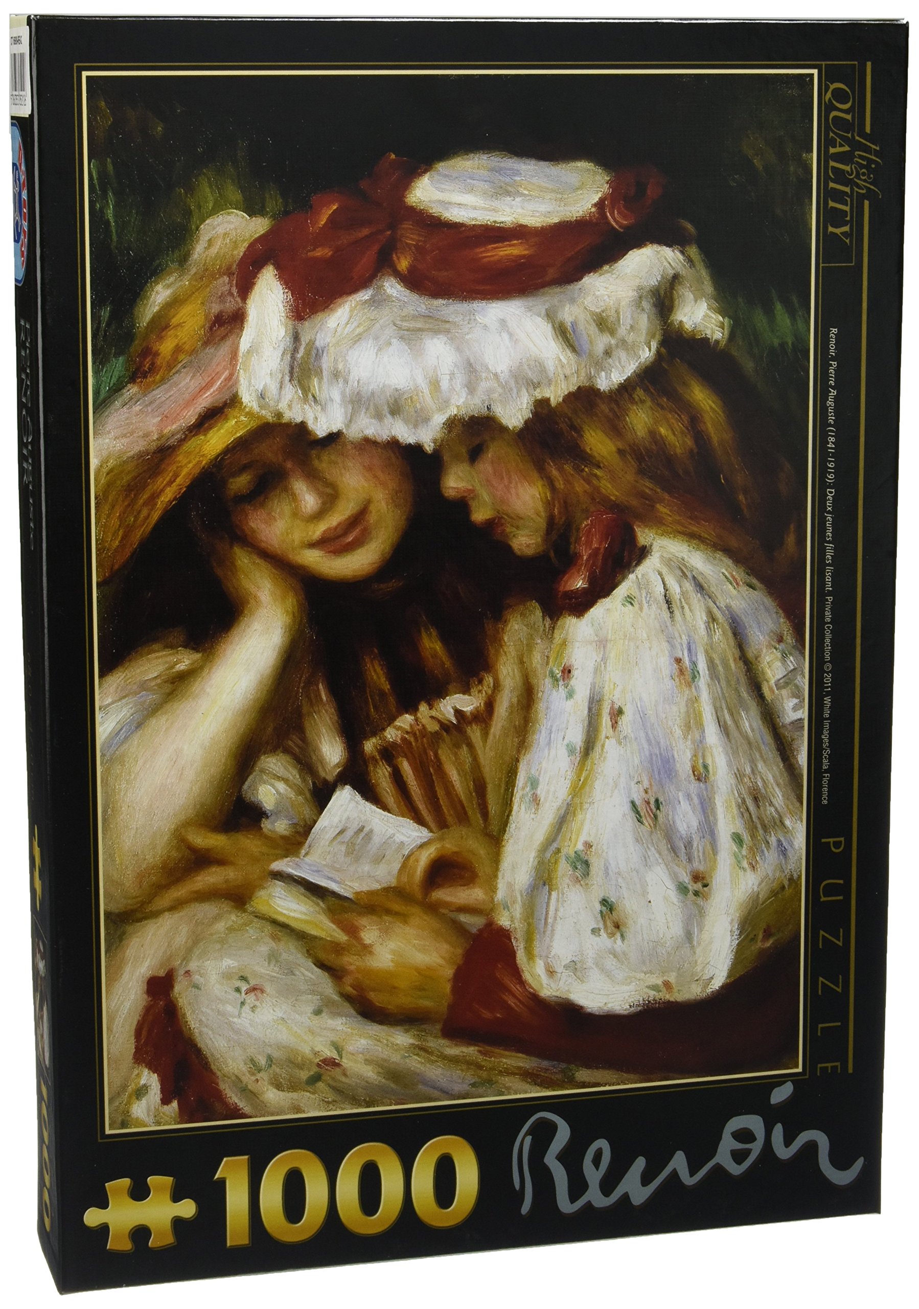 D-Toys Puzzle 1000 Pezzi Pierre Auguste Renoir - Due Giovani Ragazze Che Leggono, DT66909-RE-02 - 2