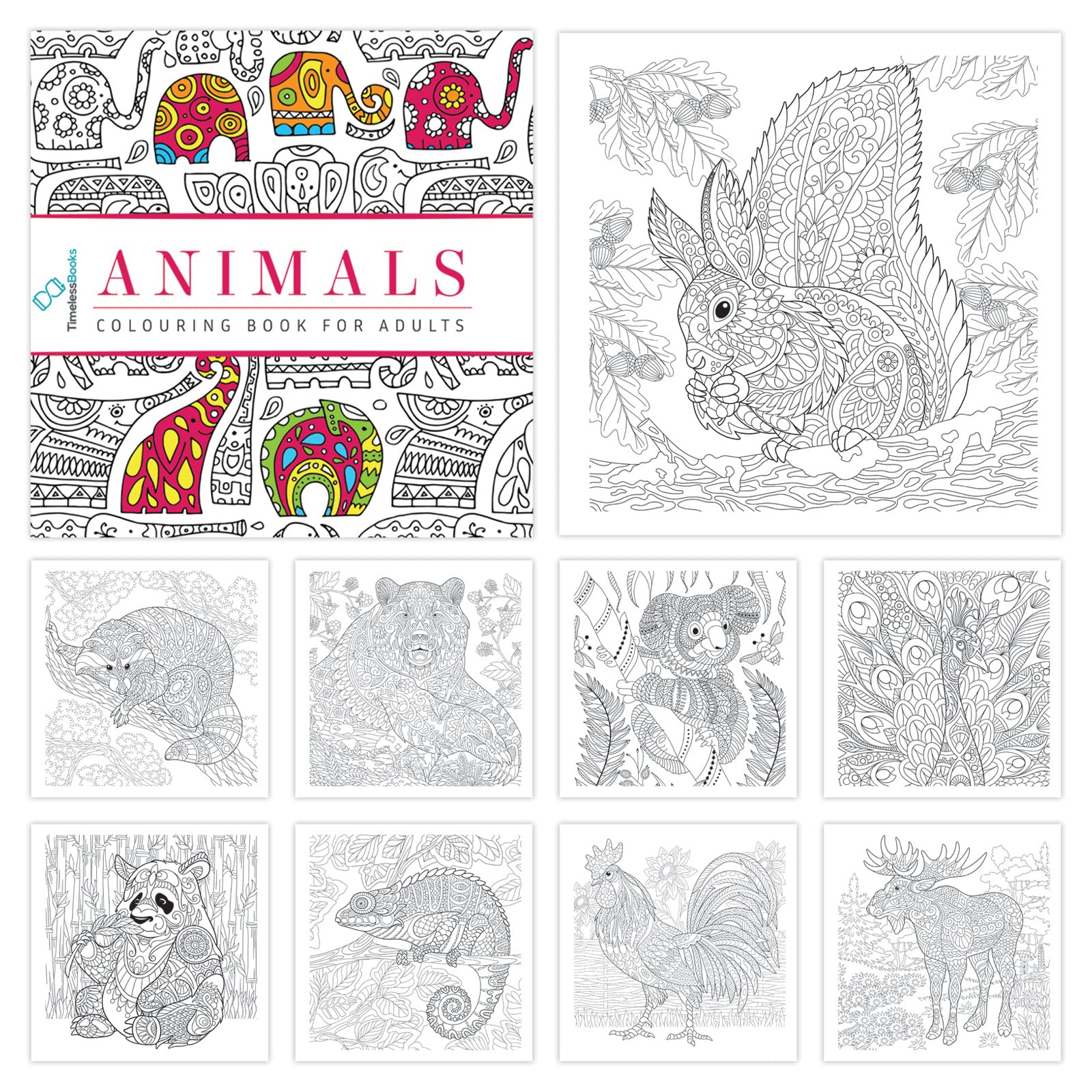 Malbücher für Erwachsene mit Abreißblatt, Tiere, Natur, Mandala und Reisen, 4 Stück