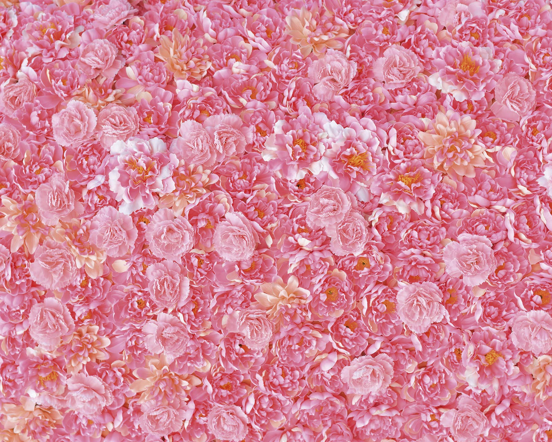 Fleur murale Rose OhPopsi WALS0464 papier peint floral