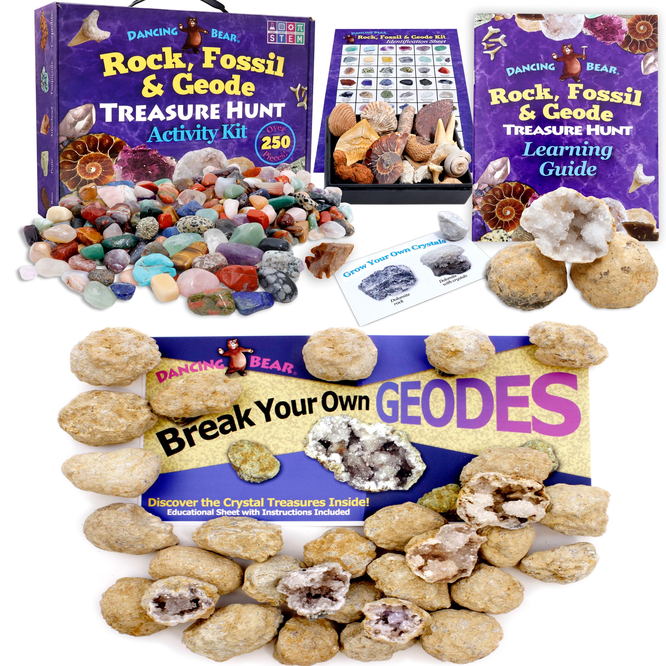 DANCING BEAR Geology Bundle – 2 STEM Activity Kits: Rock, Mineral & Geodes and 25 Medium Geodes (1-1.5") to Crack Open