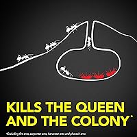 Vista 3 de Raid Cebos asesinos de hormigas, para uso doméstico, mata la colonia, mata hormigas durante 3 meses, resistente a los niños, 4