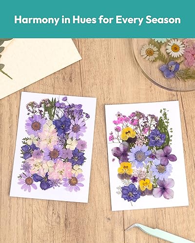 Vista 127 de Resiners - Flores secas, 100 piezas de flores prensadas para manualidades, color amarillo, flores secas naturales, kit de hojas secas