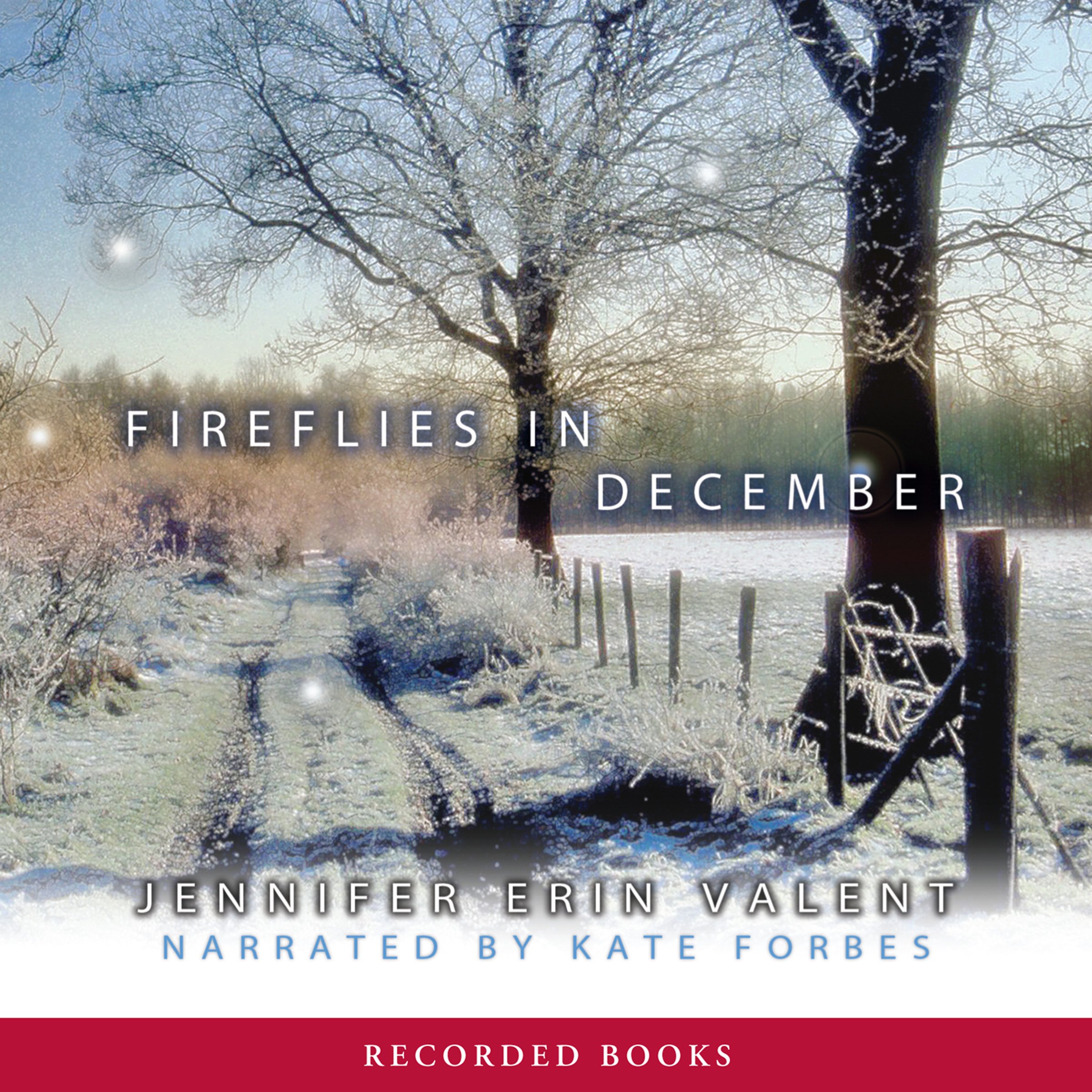 Cover art for Fireflies in December