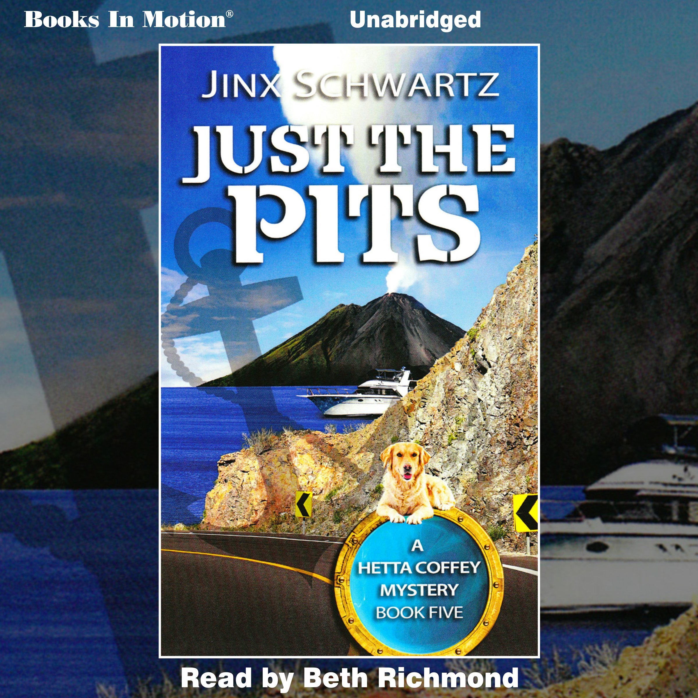 Cover art for Just the Pits
