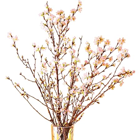 Amazon 花のギフト社 桜 さくらの花 正月桜 花束 サクラ 桜のお花 切花 さくらのお花 本 観葉植物 オンライン通販
