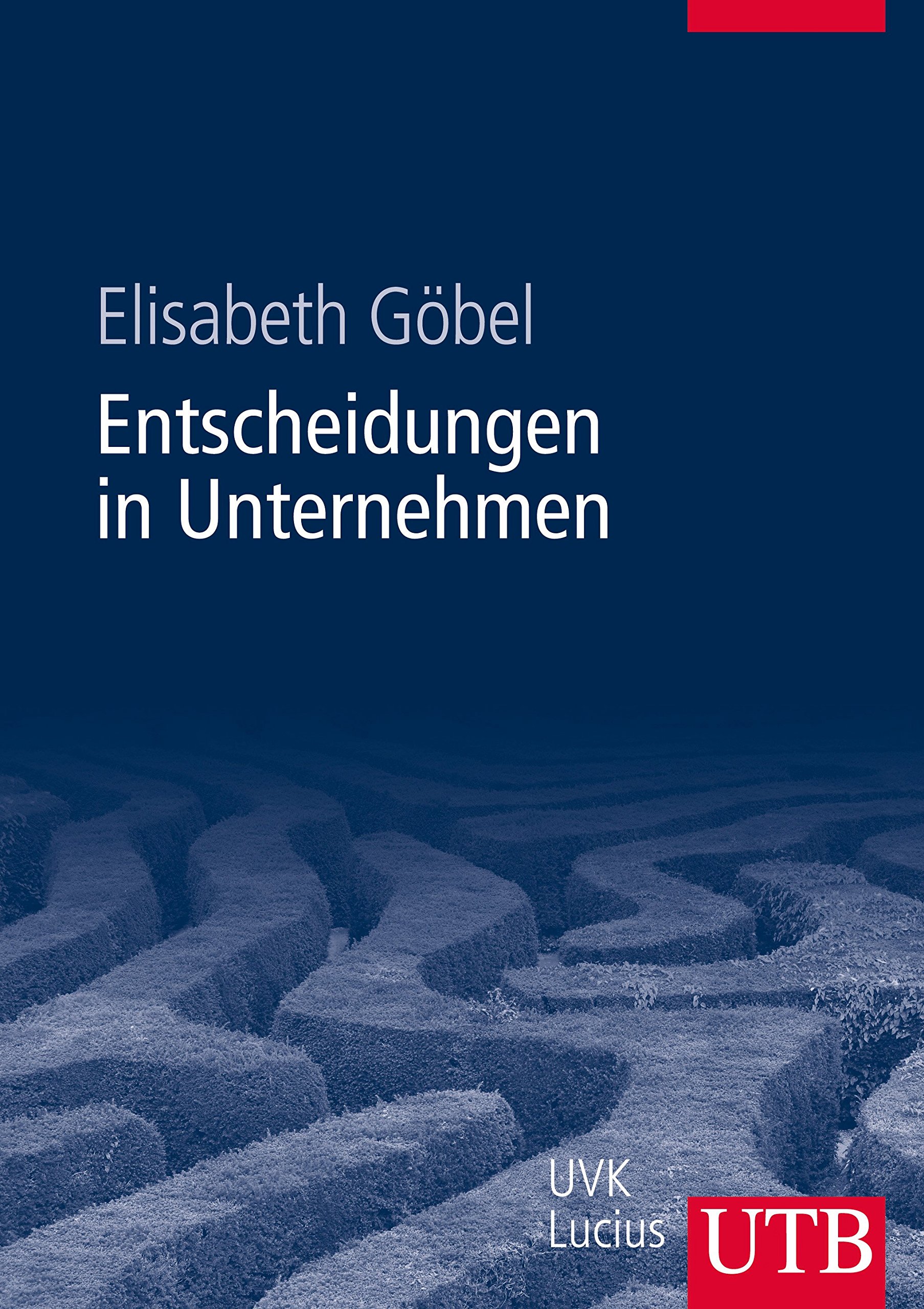 Entscheidungen in Unternehmen (Unternehmensführung)