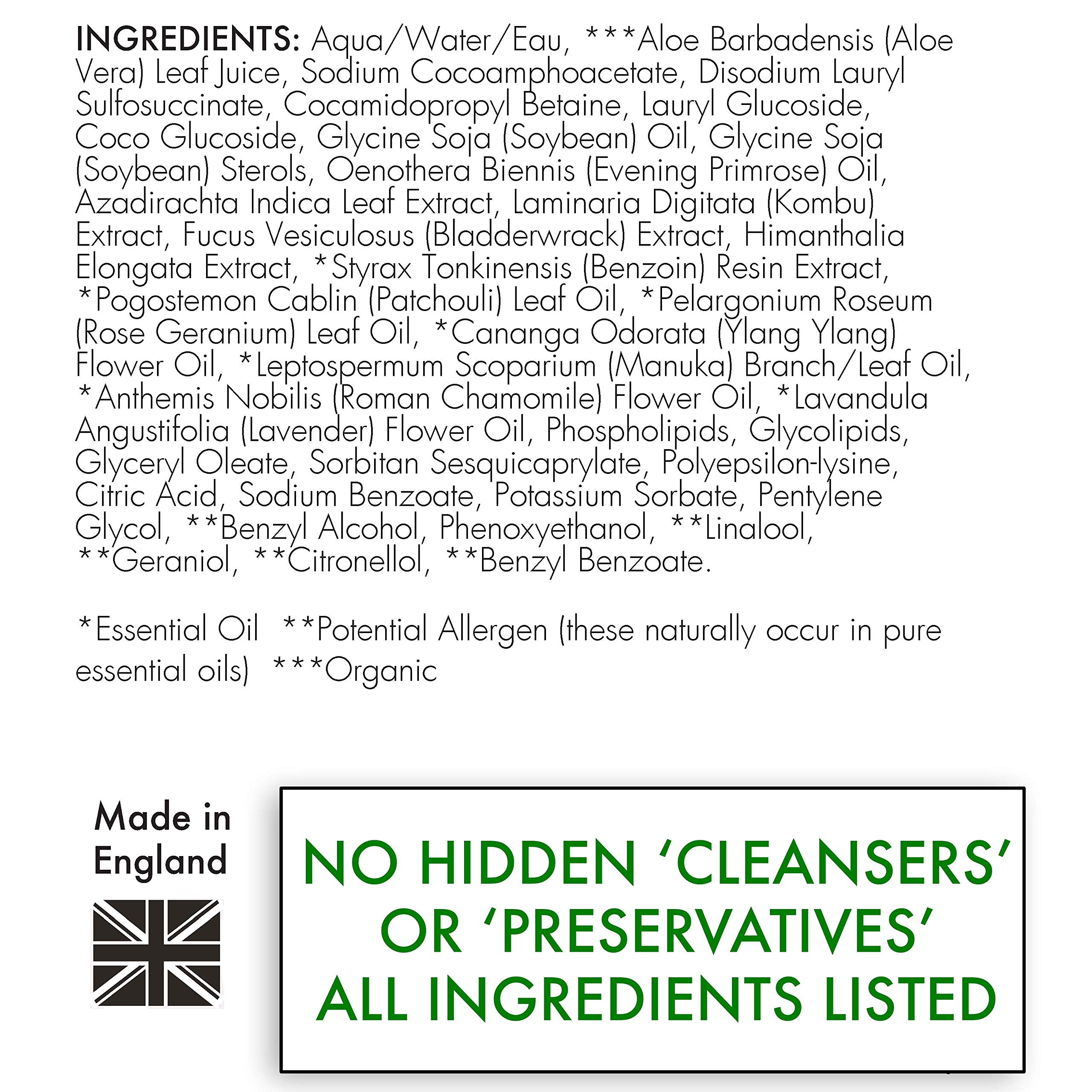 WildWash PRO Hydrating (Conditioning) Dog Shampoo for Dry and Flaky Coats - with Manuka, Lavender and Aloe Vera - Made in UK Natural Pet Care - 10.2 fl oz (Dilutes to 2.6 gallons)