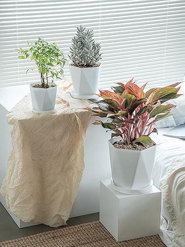 Miniatura 7 de Sun-E - Macetas para plantas de interior de 7.66.55.1 pulgadas, juego de 3 macetas para exteriores con agujeros de drenaje y platillos, idea de