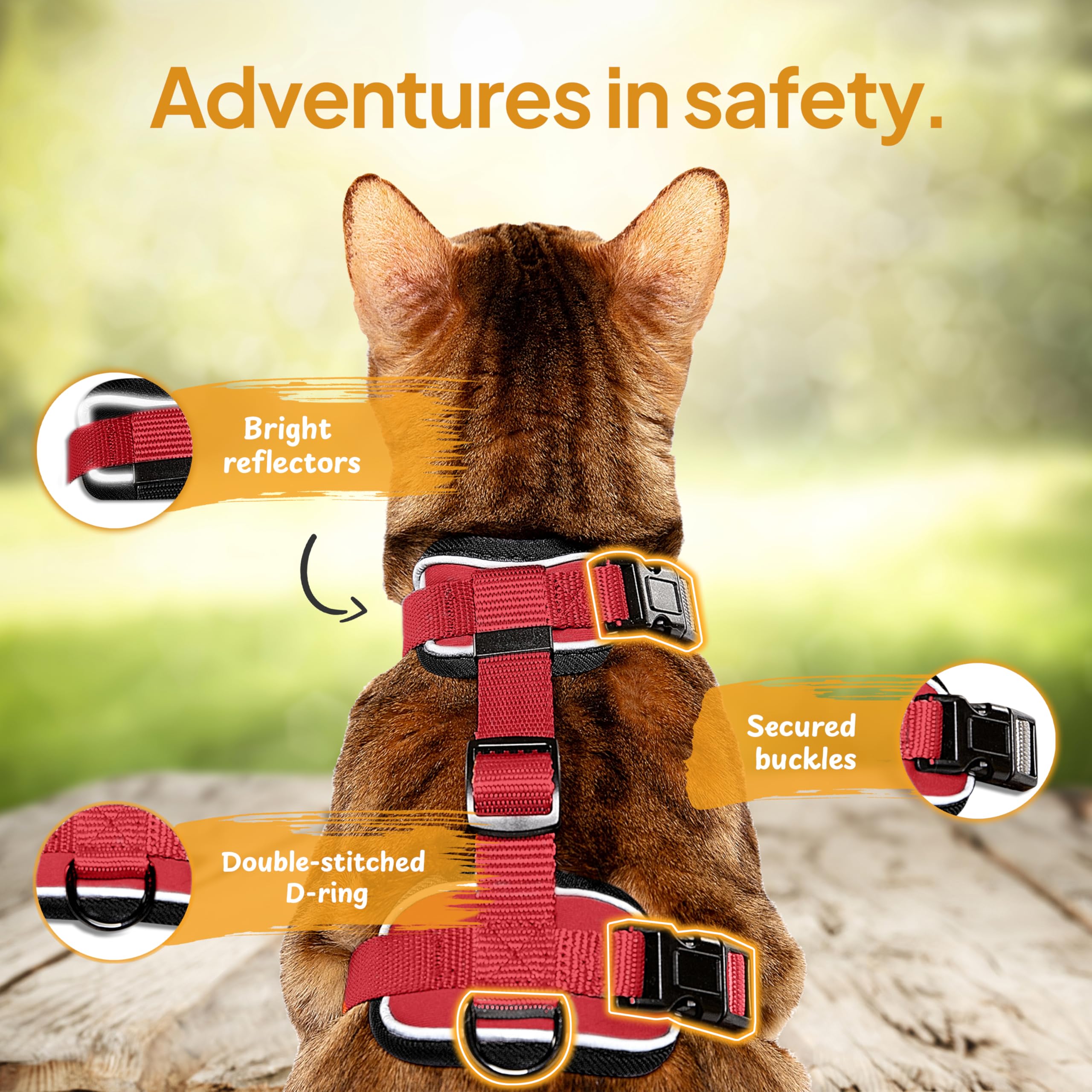 Tierhood - Cat Harness and Lead Set - Escape Proof Kitten Harness - Adjustable Cat Harness - Red, Size M, M (23-39cm) (36-51cm) - Image 3