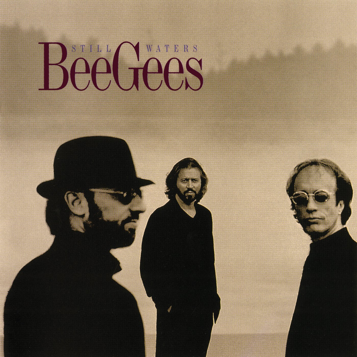 Still Waters [Audio CD] Bee Gees