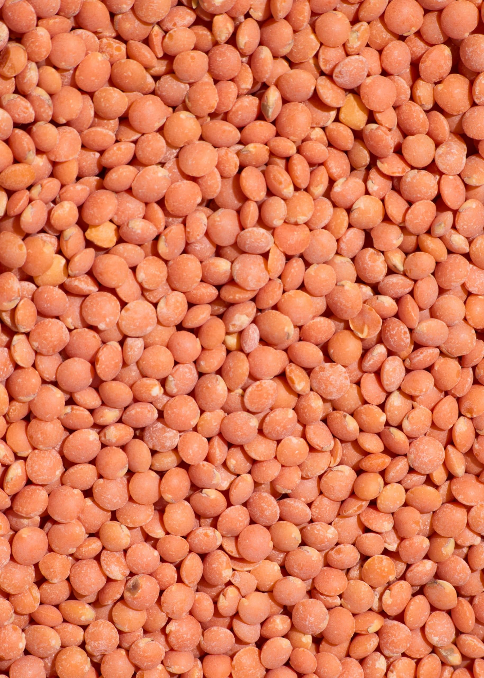 KoRo - Lentilles corail bio 2 kg - Source de protéines végétales, idéal pour la soupe, le bouillon de legumes et les plats en sauce