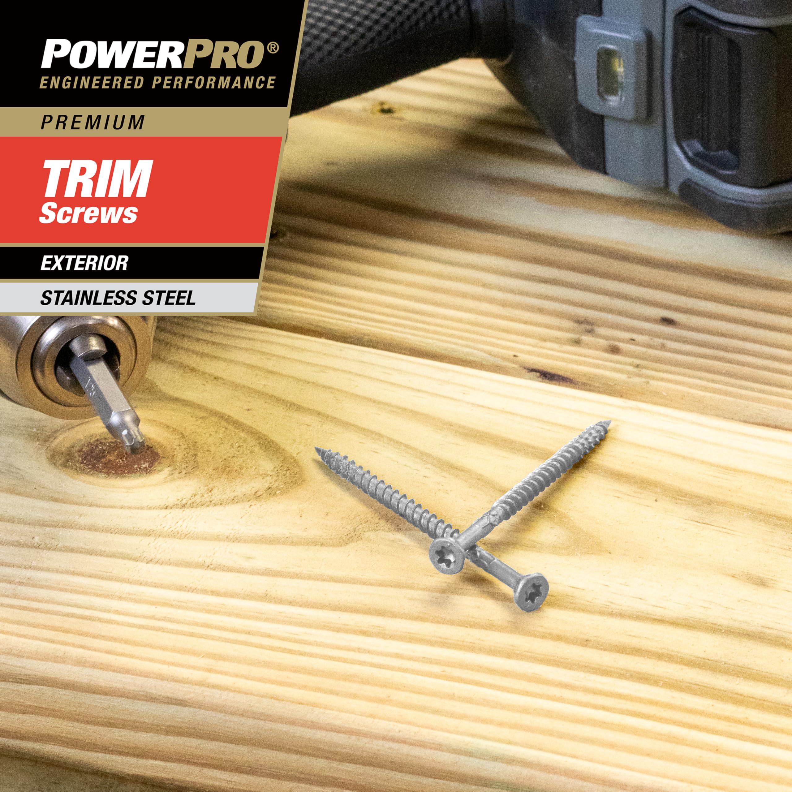 El grupo de Hillman Power Pro Trim tornillo, 48639