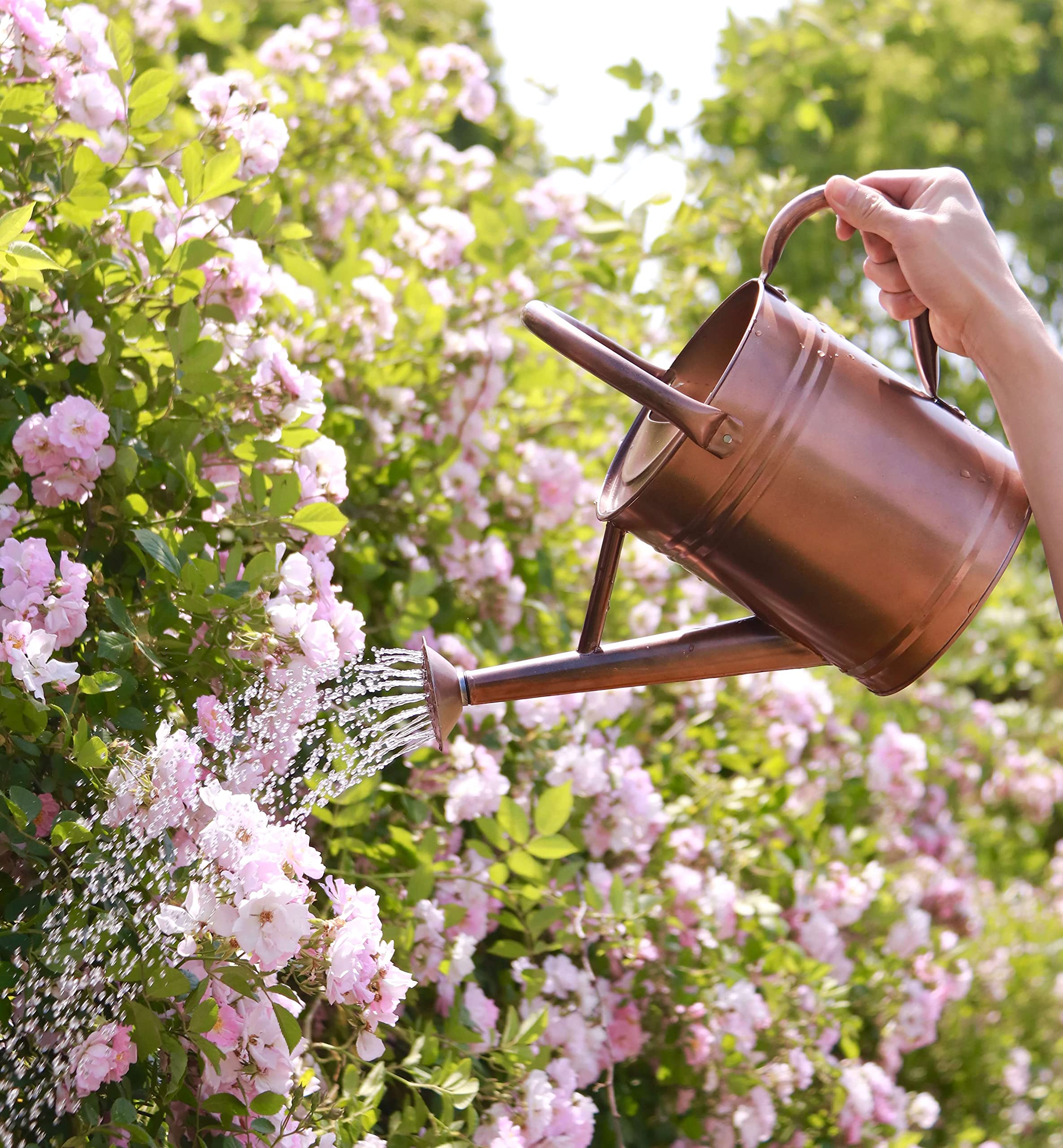 WEQUALITY Copper Colored Watering Can for Outdoor Plantsï¼Œ1 Gallon Metal Plant Watering Can,Galvanized Steel Gardening Watering Can,Antique Copper Colored