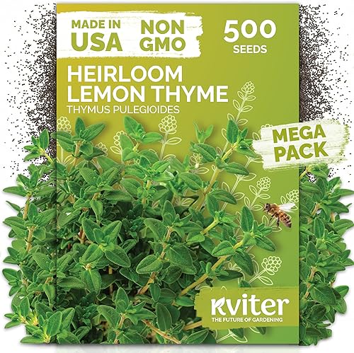 KVITER 500 semillas de tomillo limón para plantar (Thymus Pulegioides) – semillas de tomillo rastrero silvestre como cobertura de suelo, planta