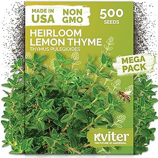 KVITER 500 Lemon Thyme Seeds for Planting (Thymus Pulegioides) – Wild ...
