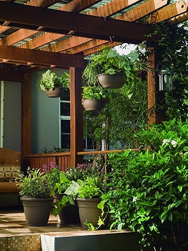 Miniatura 3 de Crescent Too Emma - Maceta, terracota de 6 pulgadas (bolsa de 12)