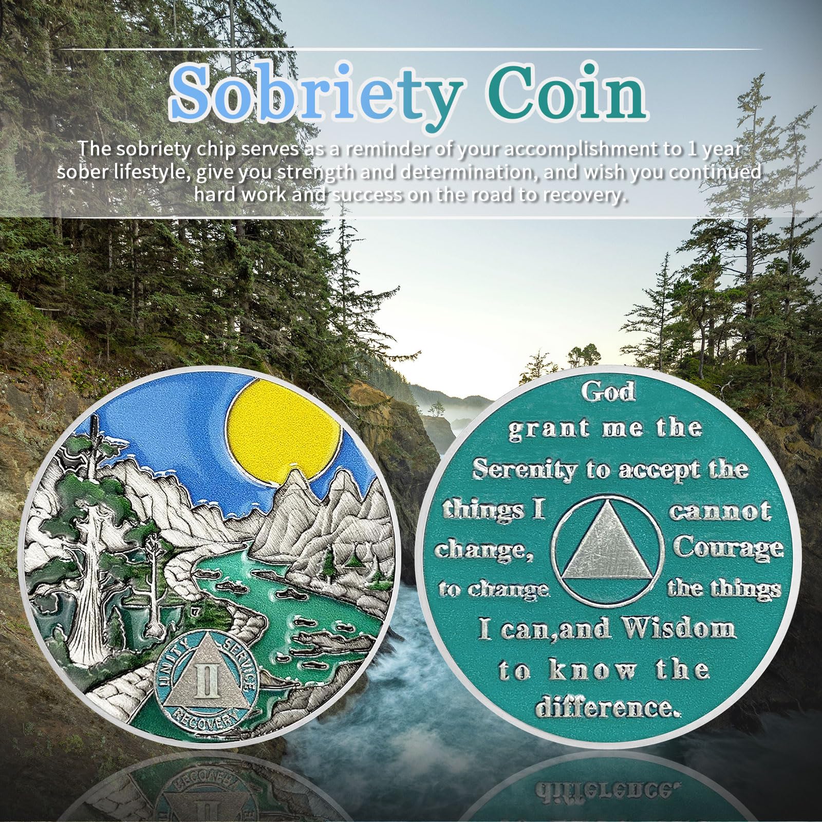 AtSKnSK Moneda de sobriedad de 1 a 10 años con regalos de sobriedad del río forestal para mujeres y hombres, chips AA y medallones, regalo de recuperación de alcohólicos anónimos (2 años)