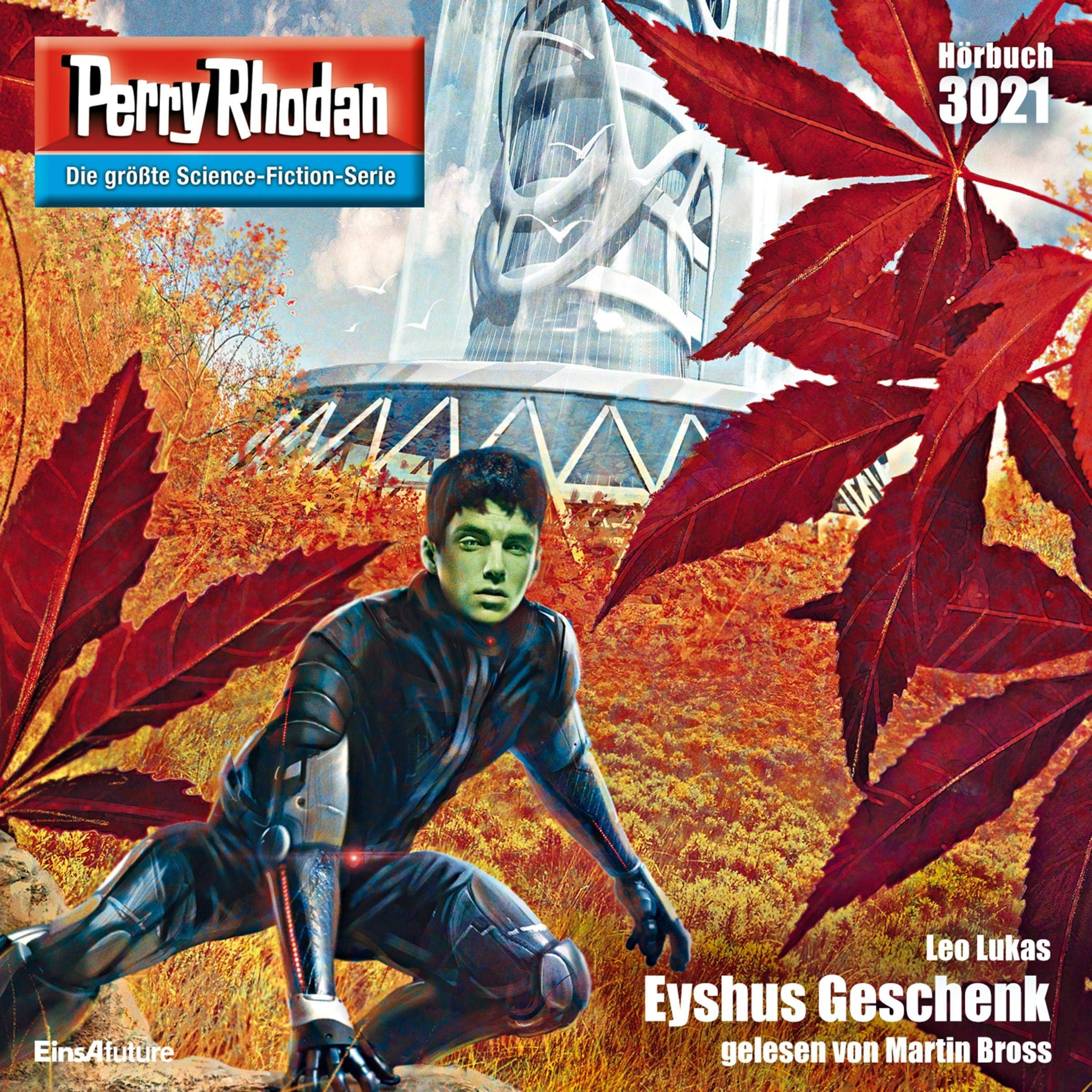 Cover art for Eyshus Geschenk