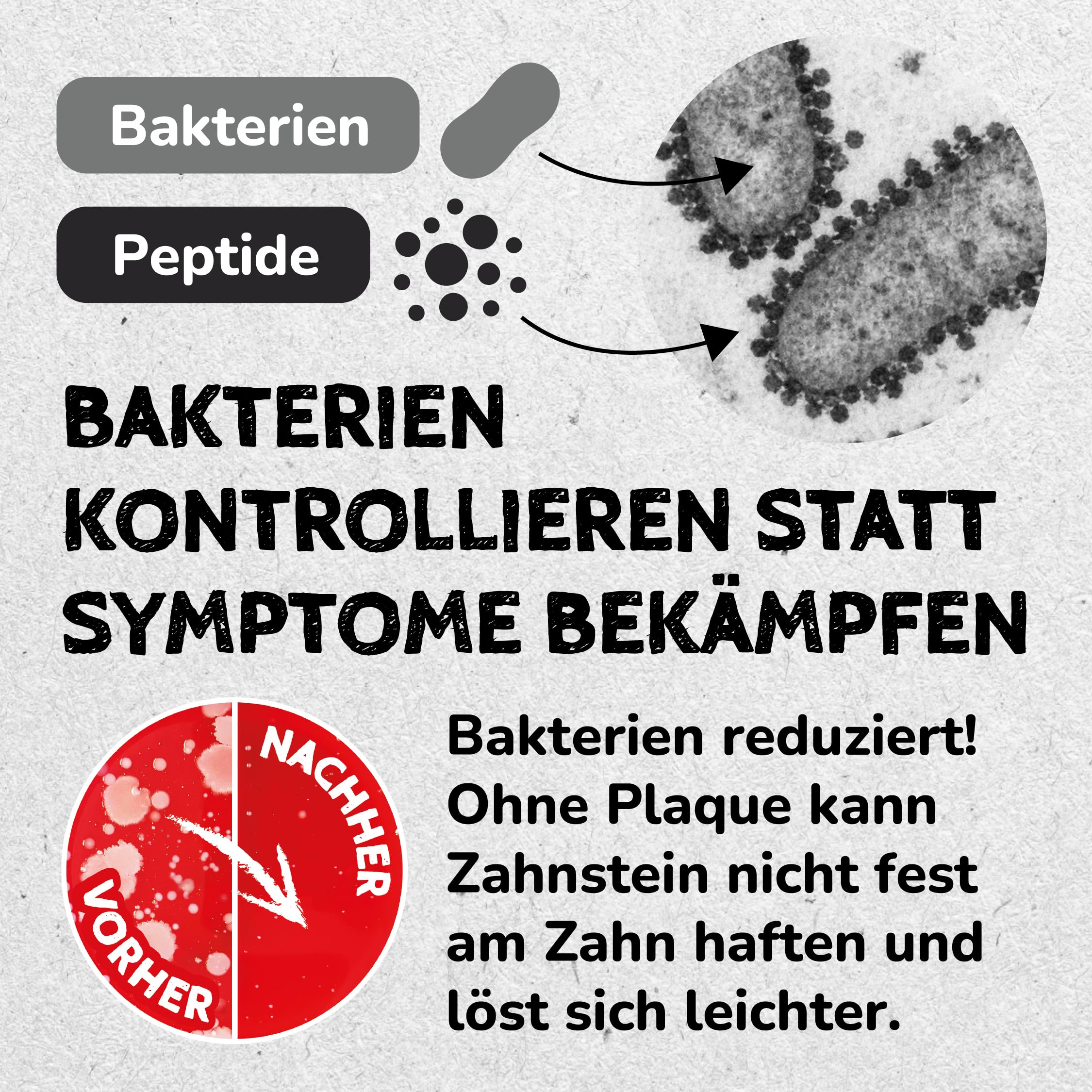 QCHEFS Starterbox für Hunde Pulver für Zahnpflege und Darmgesundheit zugleich bei Erbrechen, Blähungen und Durchfall