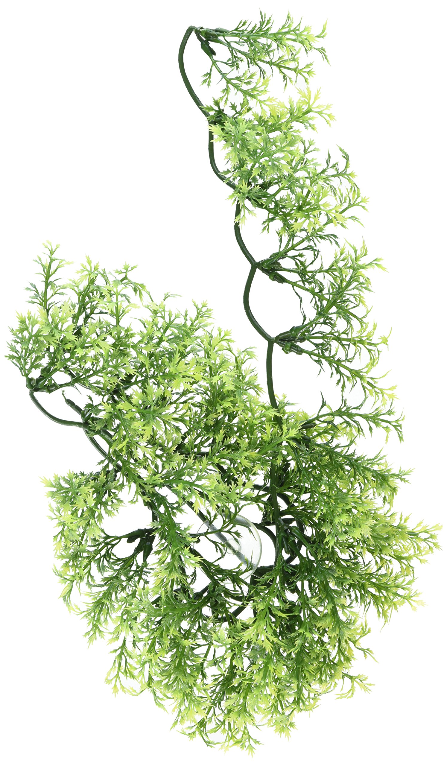 Zoo Med BU-24 Australian Maple, Medium