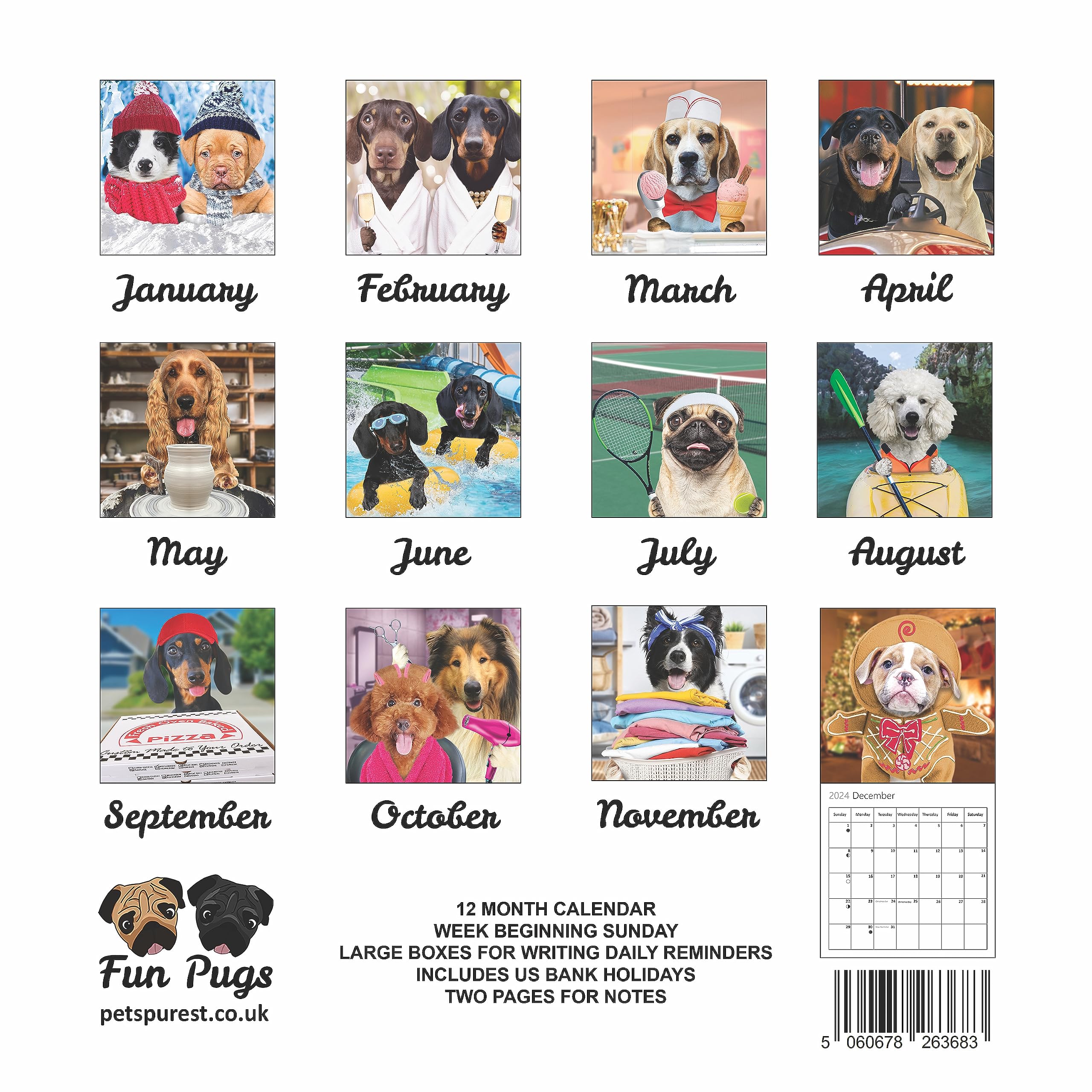Fun Dogs Wall Calendar 2024 - Large Family Planner & Daily Organizer with  Cute Monthly Doggy Images - Slim Design 2024 Wall Planner & Dog Lover Gift  - Fun Calendar : Amazon.sg: Office Products