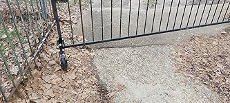 Review Image by David David