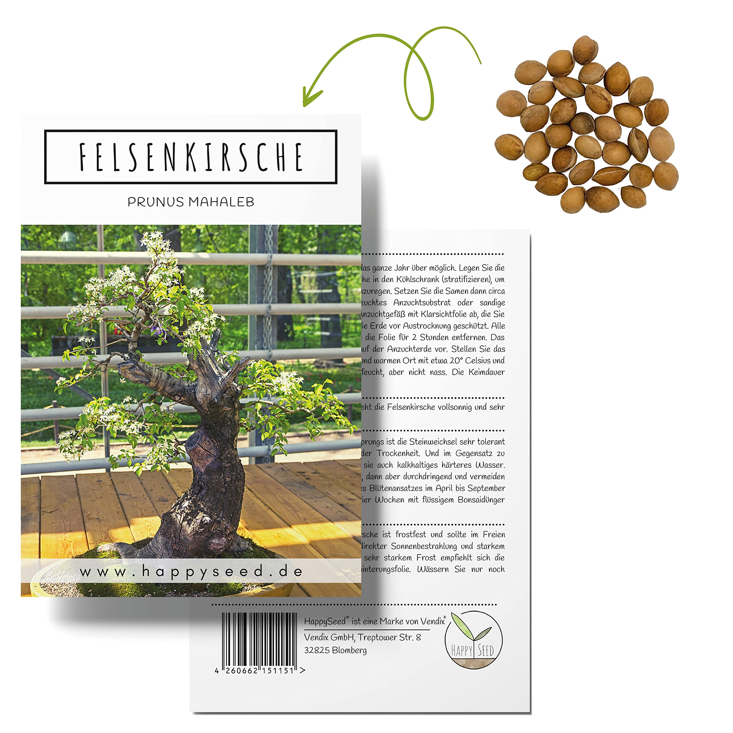 Einzigartige Bonsai Samen mit hoher Keimrate - Pflanzen Samen Set fr  deinen eigenen Bonsai Baum (1x Felsenkirsche) : Amazon.de: Garten