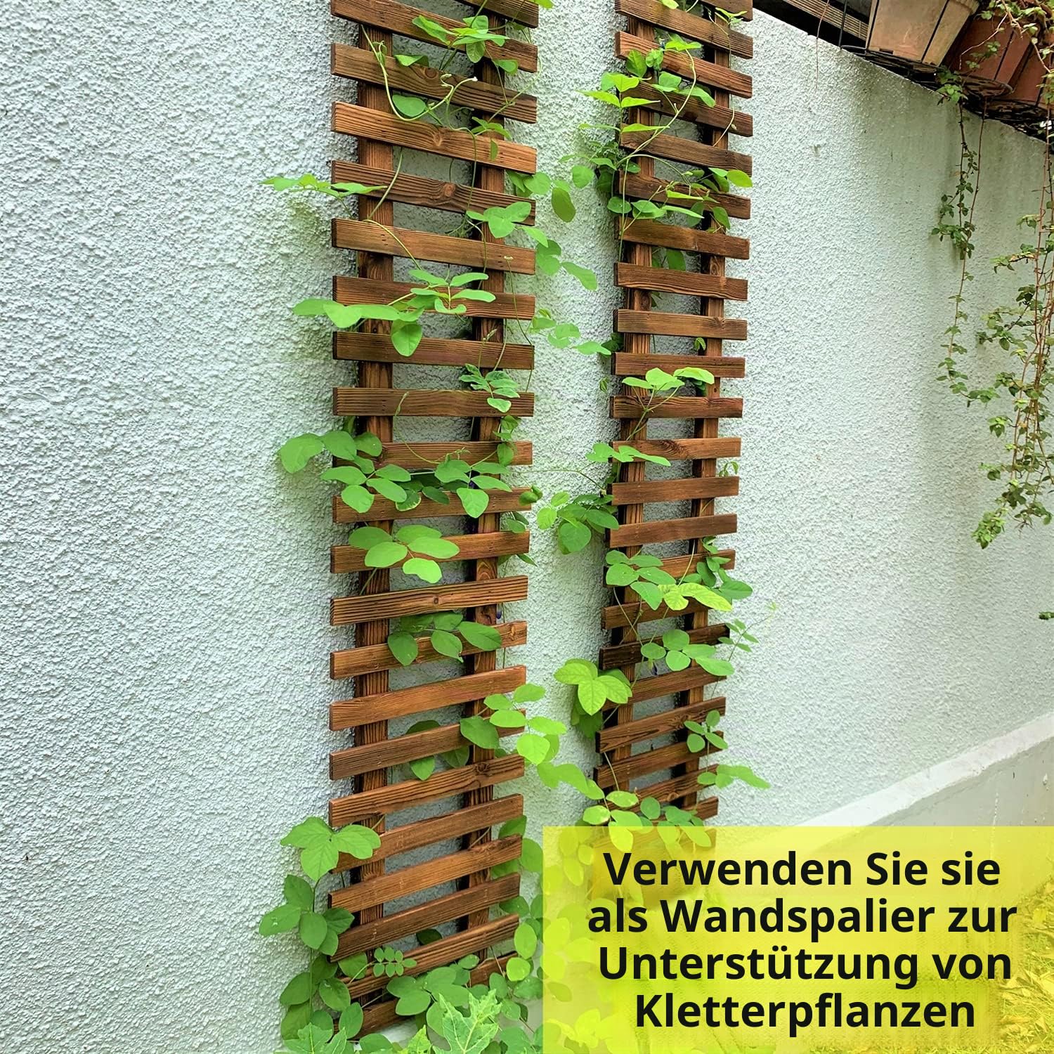 ShopLaLa Wand-Pflanzenhalter – Hängende Pflanzgefäße für drinnen und draußen