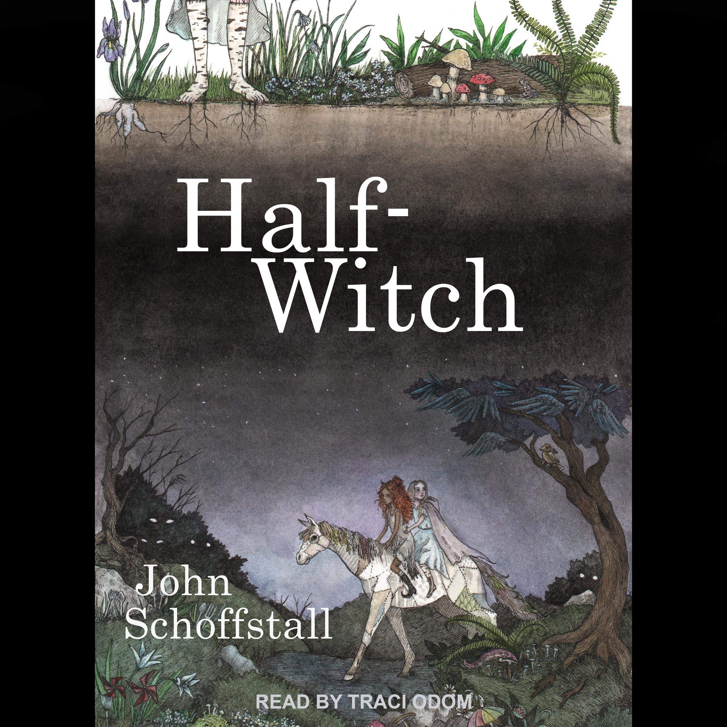 Cover art for Half-Witch