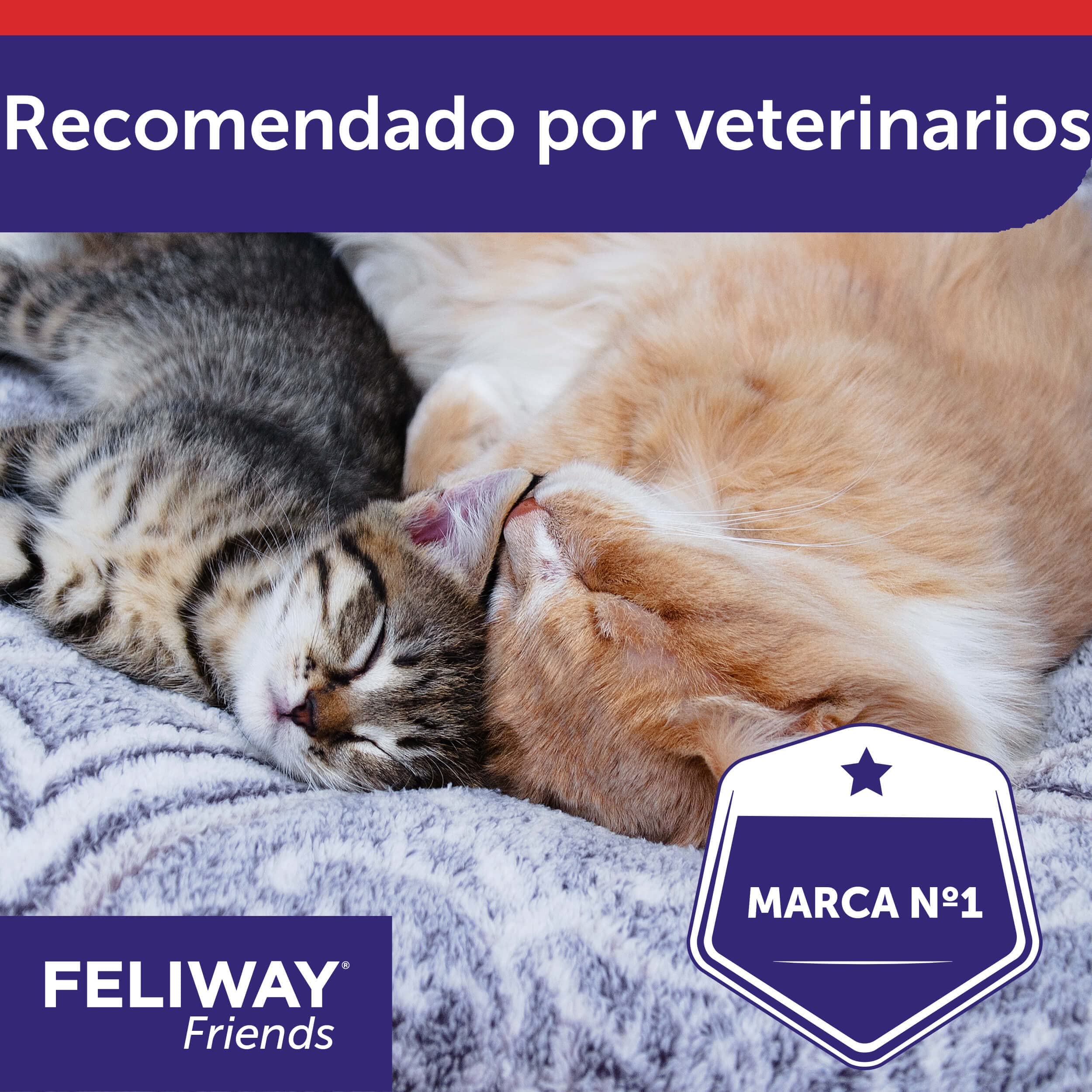 Feliway Friends Ricarica, 48 ml, 3 pezzi