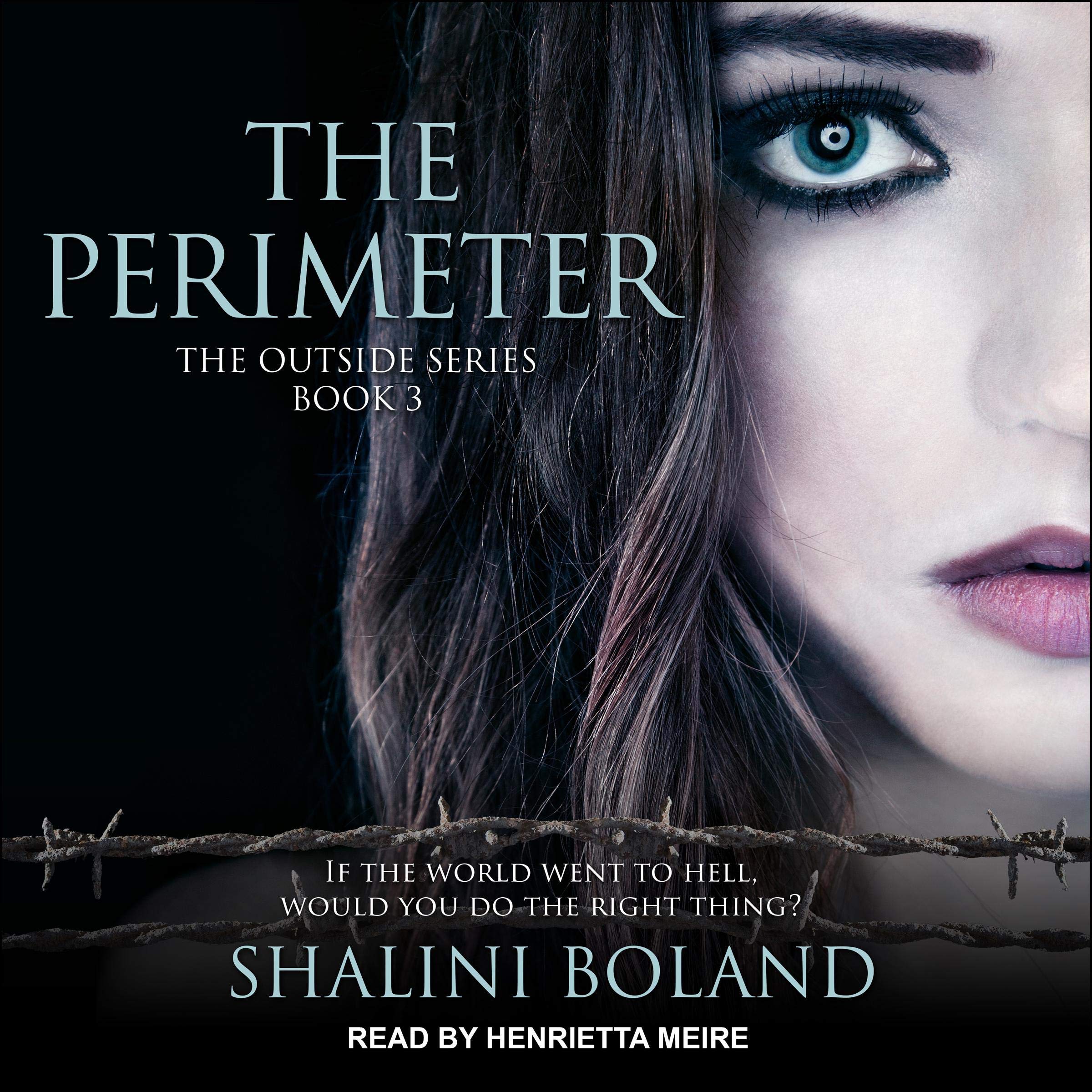 Cover art for The Perimeter