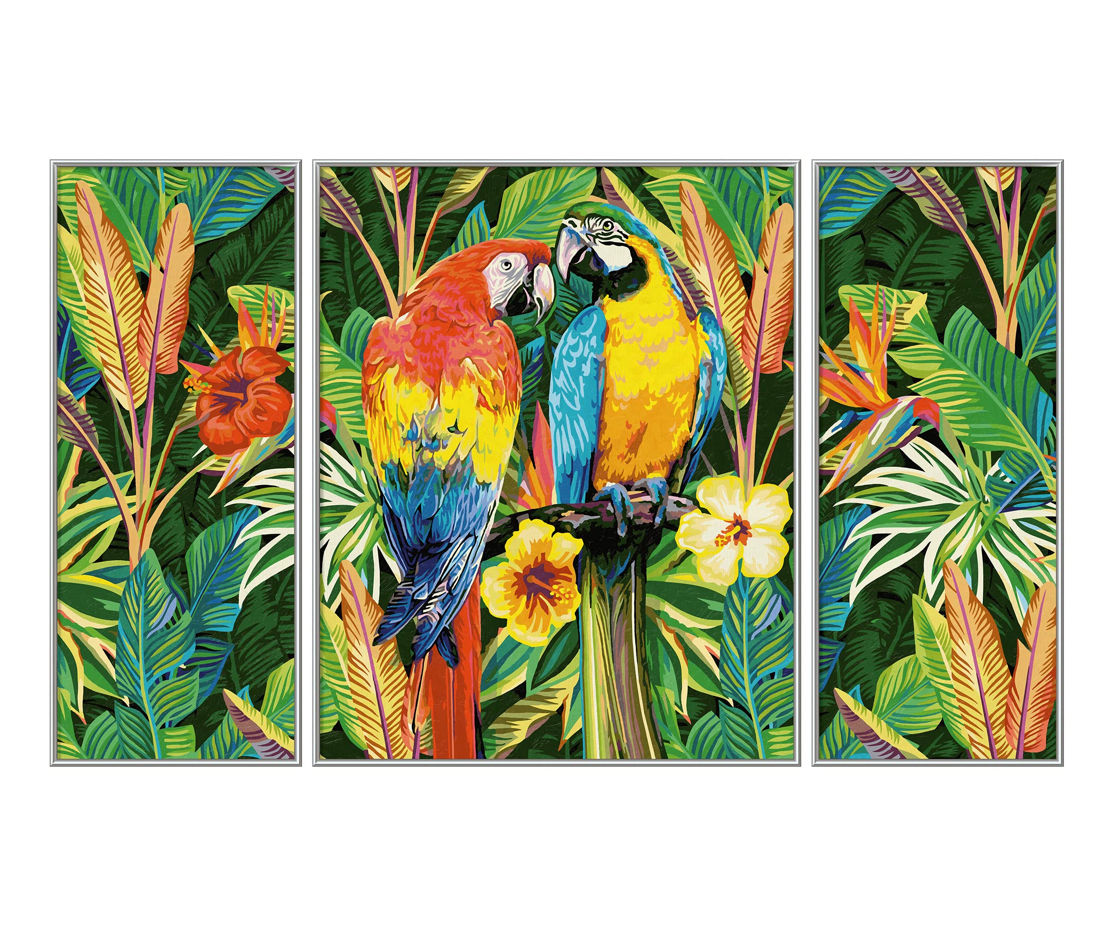 Schipper 609260853 - Dipingere con i Numeri, pappagalli nella Foresta pluviale, per Adulti, Inclusi pennelli e Colori acrilici, trittico, 50 x 80 cm