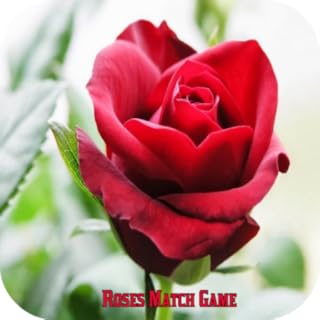 Roses Match Game