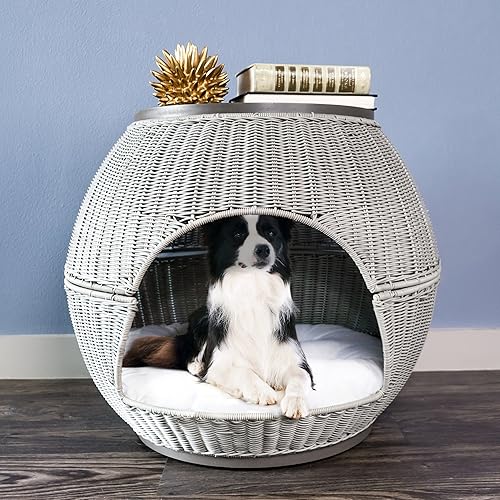 The 11 Best Igloo Dog Houses