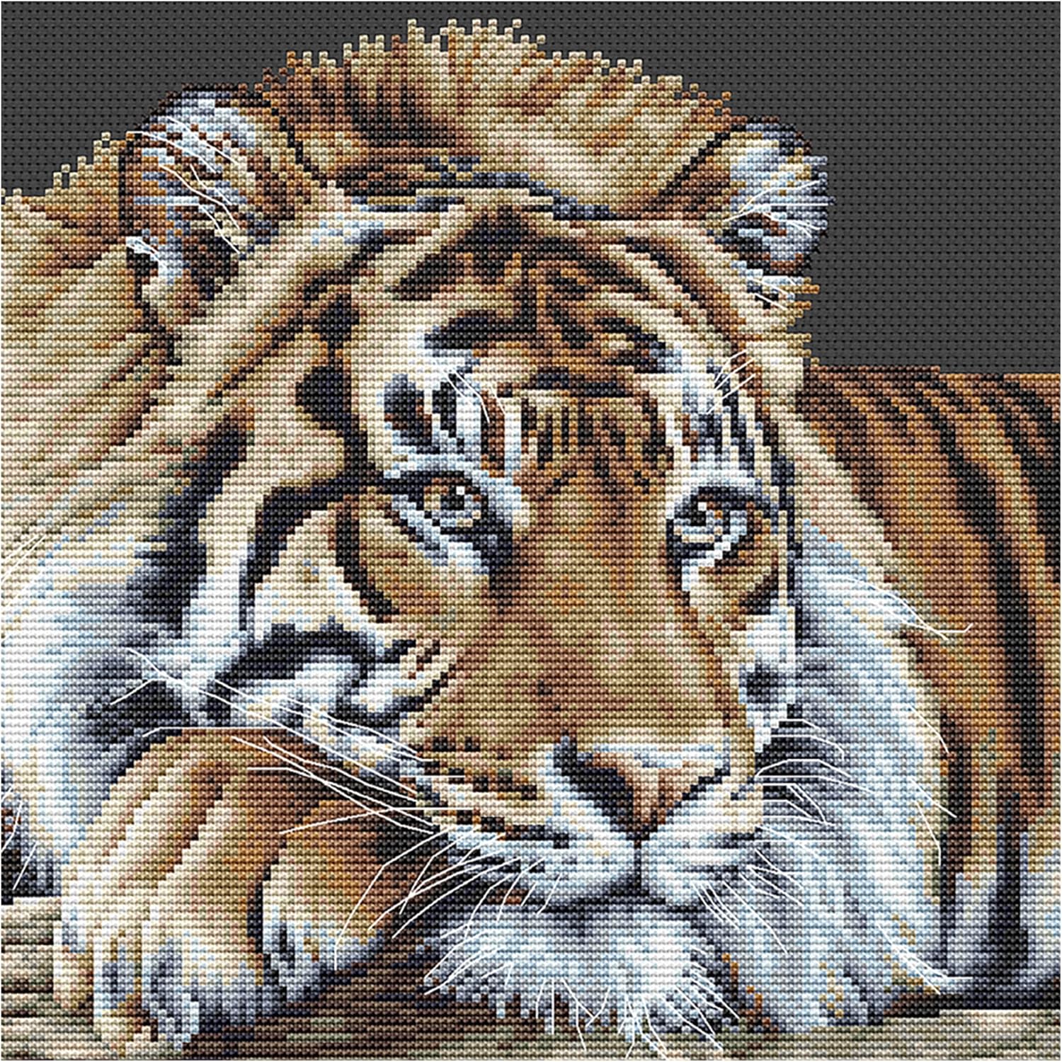 Thea Gouverneur - Counted Cross Stitch Kit - Tiger - Black Aida - 14 Count - Embroidery Kit for Adults - DMC Embroidery Threads and Other Cross Stitch Supplies Included - 579.05