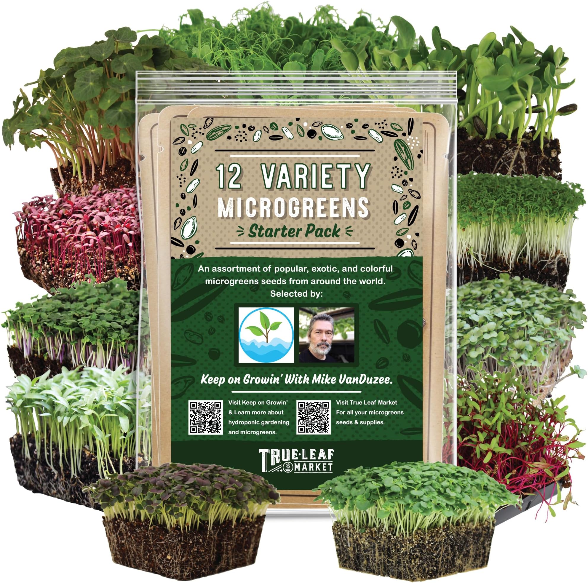 12 Variety Pack Microgreens Seeds Kit - Broccoli Seed for Sprouting Plus Purple Radish, Beet, Sunflower Microgreens, Peas, Shiso, Cilantro, Beet, Pak Choi, Korean Shiso, Cress & More