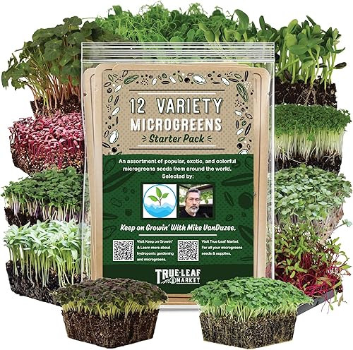 Paquete variado de 12 semillas de microgreens - Semillas de brócoli para brotar más rábano morado, remolacha, microverdes de girasol, guisantes,