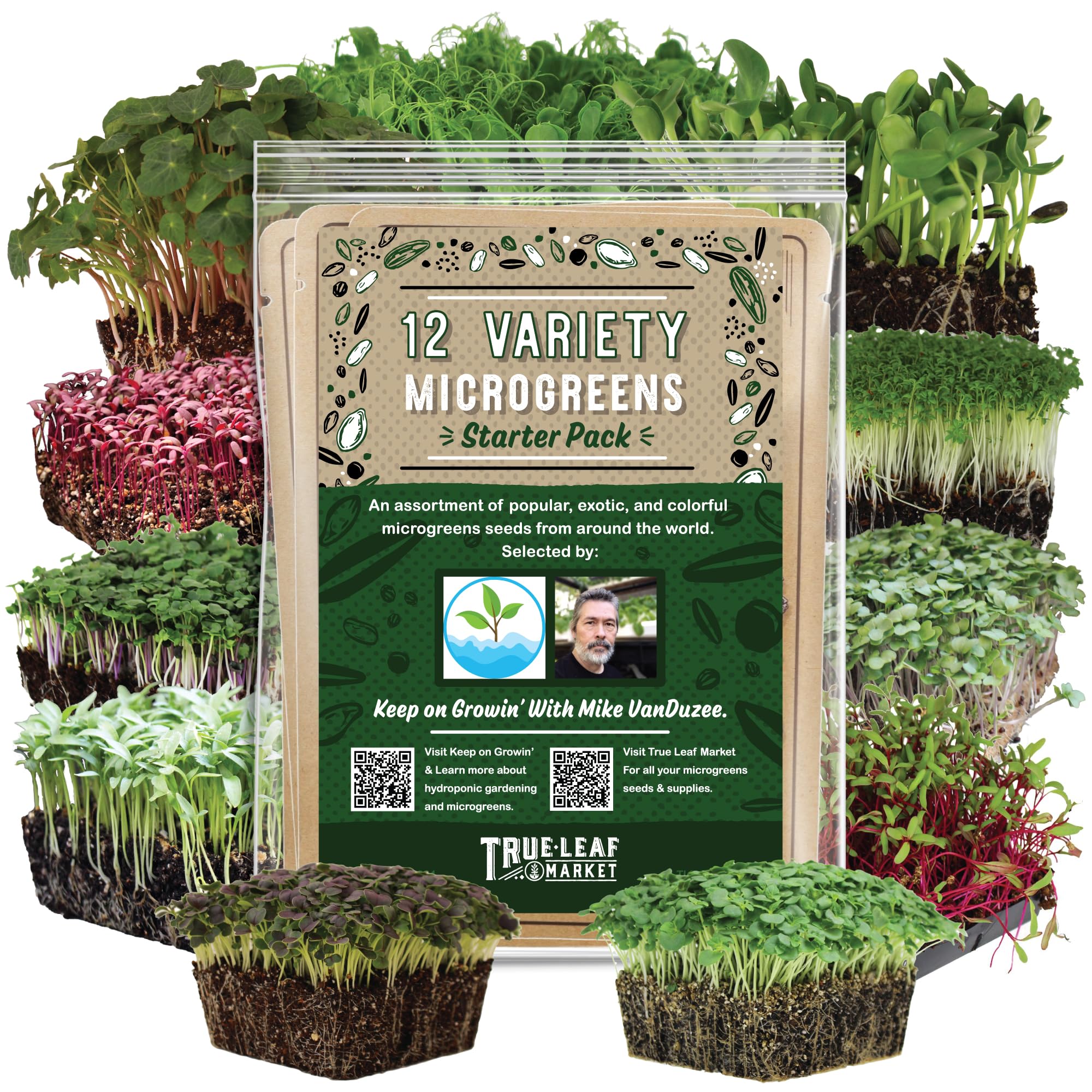 12 Variety Pack Microgreens Seeds Kit - Broccoli Seeds for Sprouting Plus Purple Radish Seeds, Beet, Sunflower Microgreens Seeds, Peas, Shiso, Cilantro, Beet, Pak Choi, Korean Shiso, Cress & More