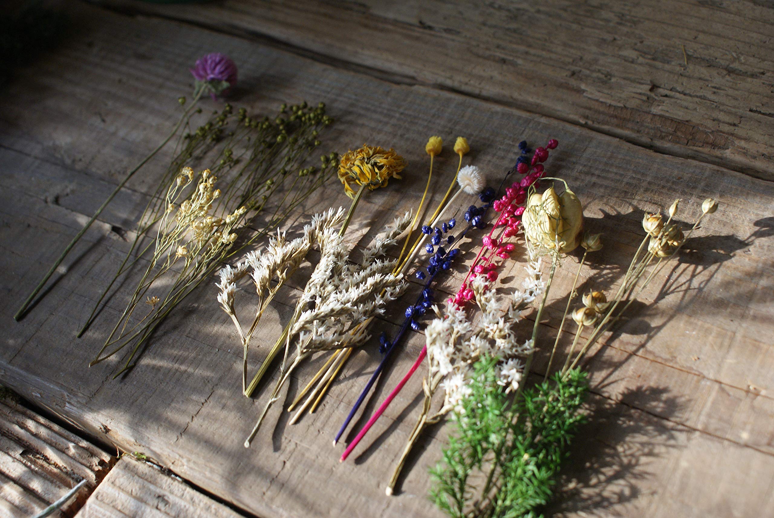 Amazon｜ドライフラワー ミックス Mサイズ｜ドライフラワー オンライン通販