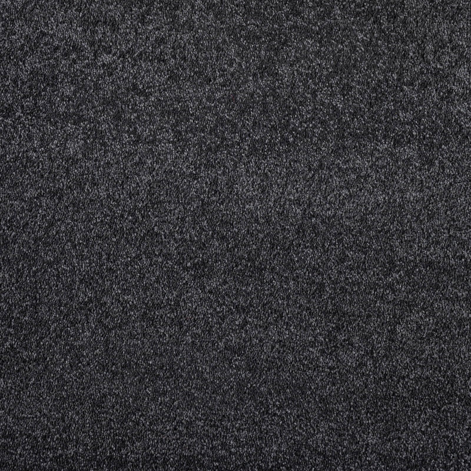 Alberta Saxony Carpet Action Backed Stain Resistant Polyester Carpet (Anthracite - 4m x 4.5m)