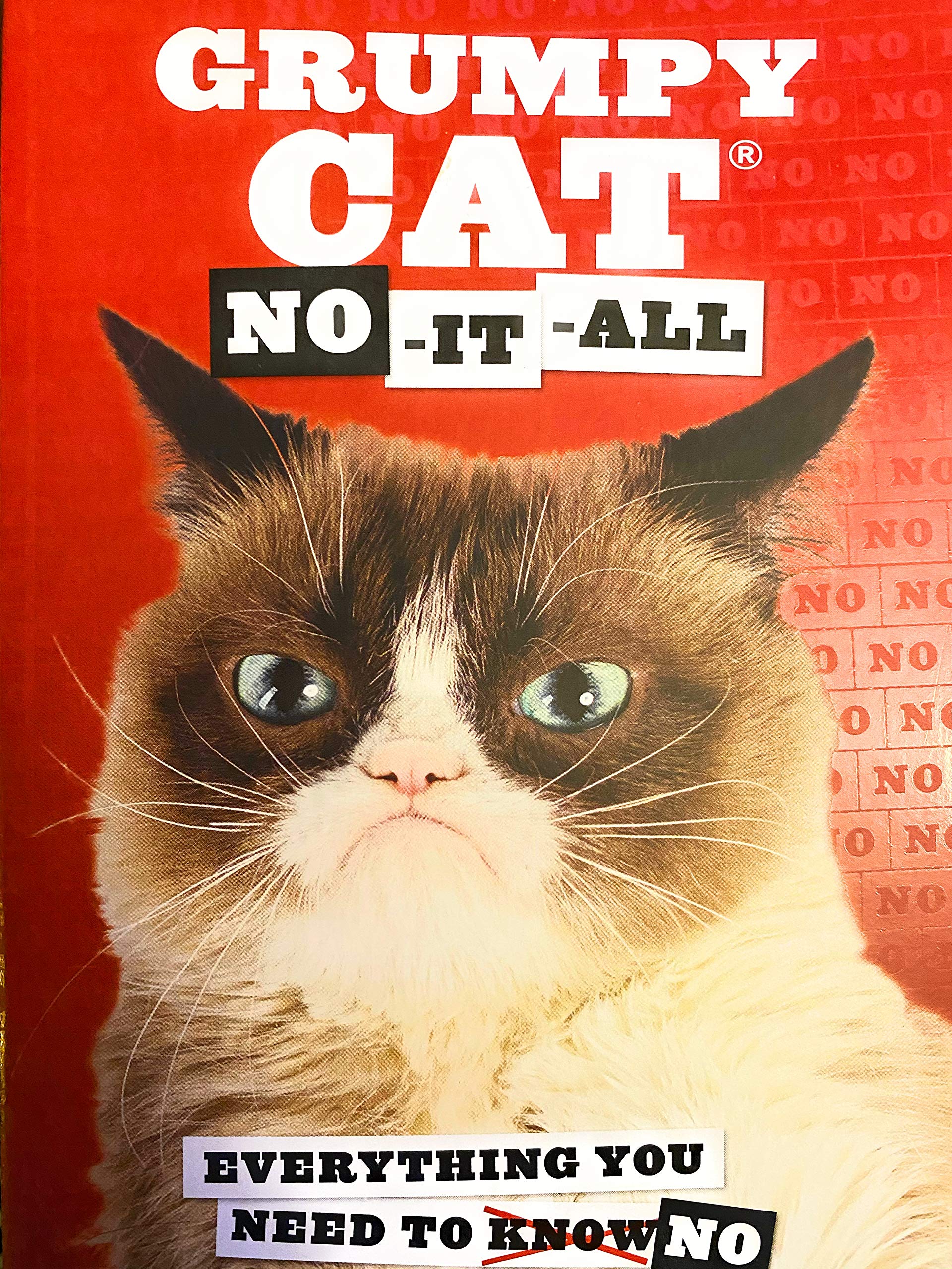 Cover of Grumpy Cat: No-it-all : Everything You Need to No