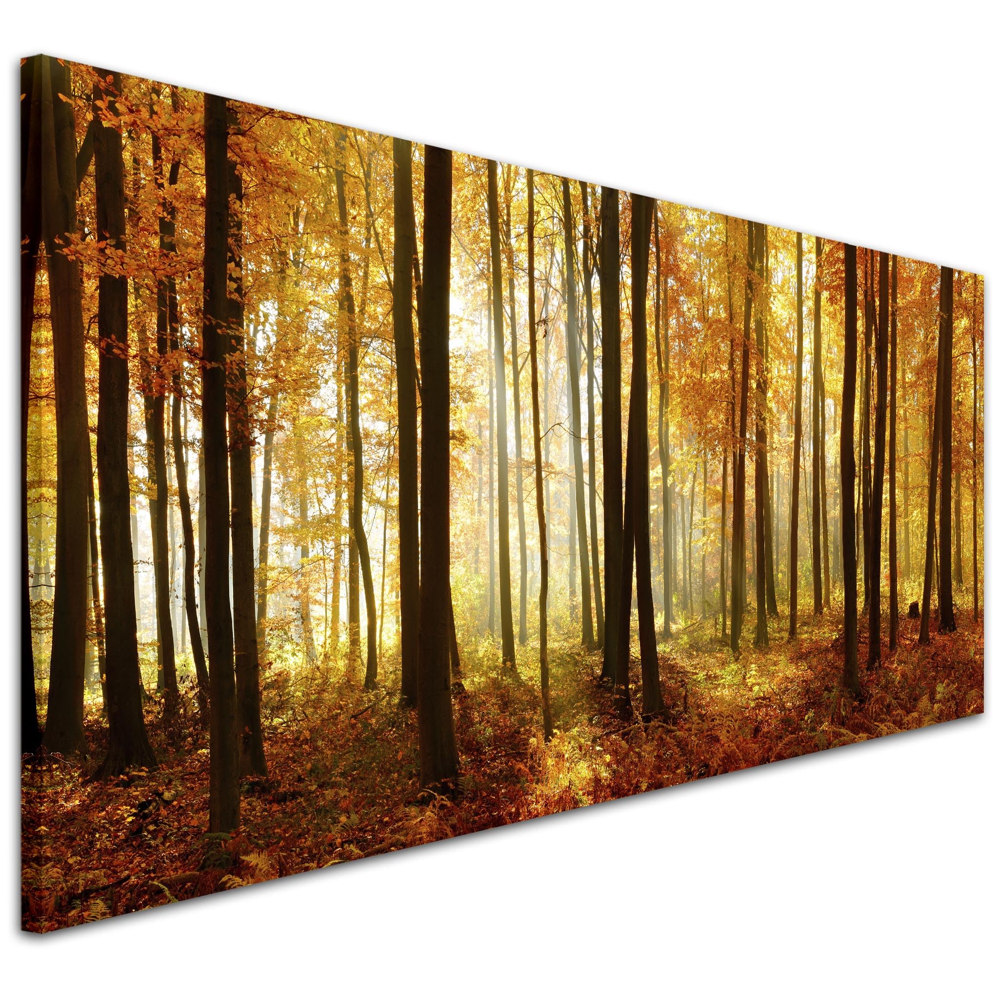 Wallfillers Orange Woodland Scenes - Forest Trees Canvas Wall Art Print - 1243-118x49cm