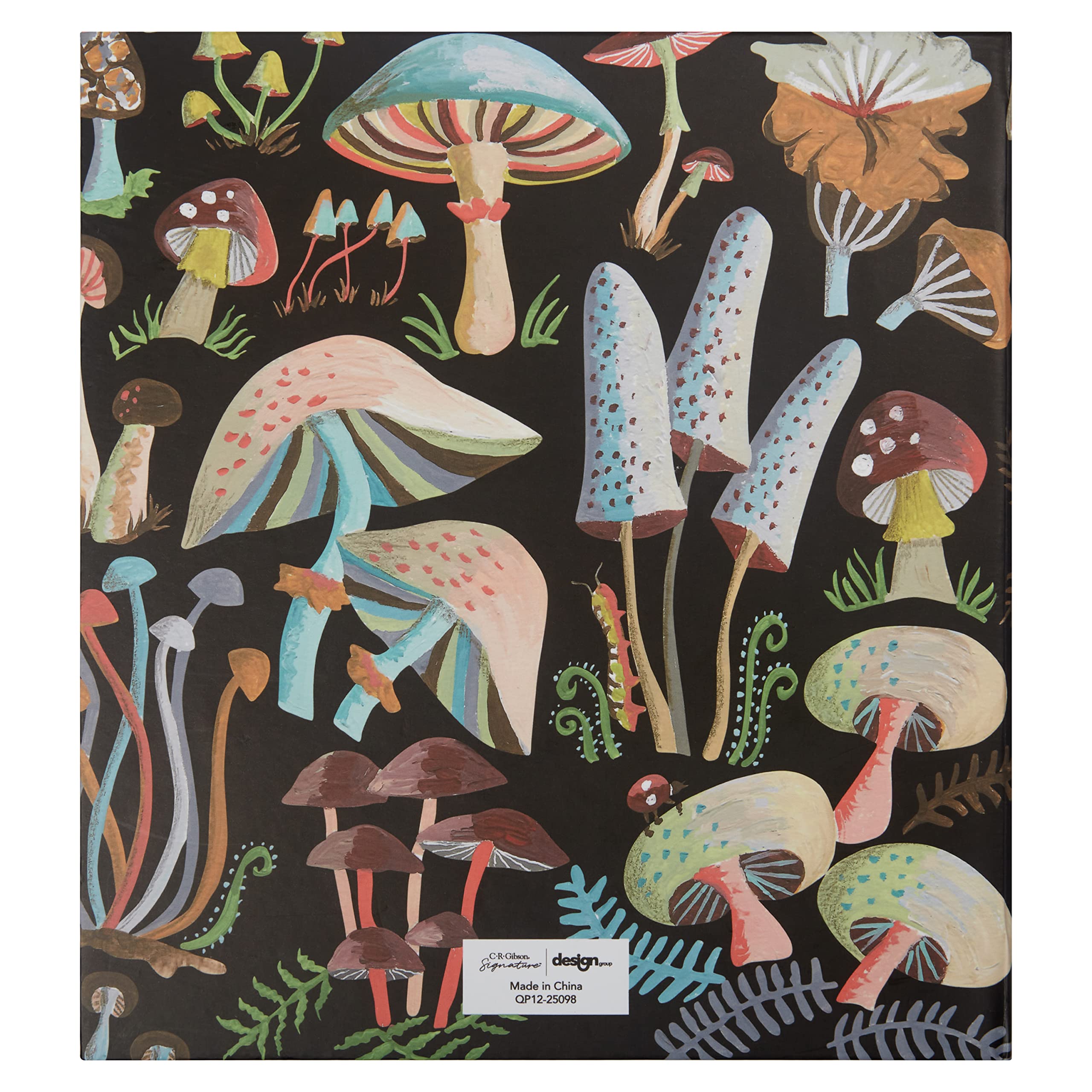 C.R. Gibson Raccoglitore per ricette a 3 anelli con carte, 23,7 x 21,6 cm