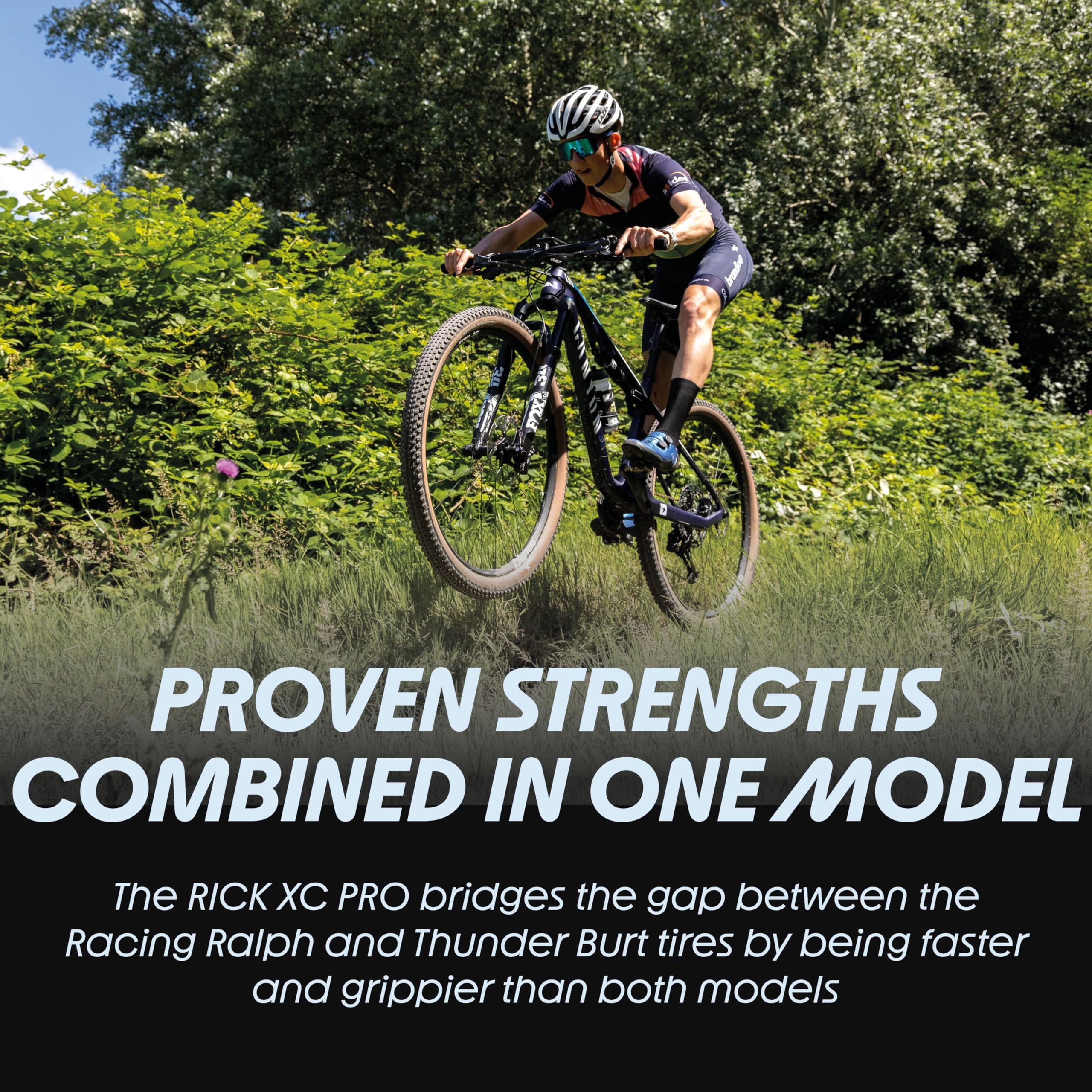 Amazon.com : Schwalbe Rick XC PRO MTB Bike tire – 29 inches