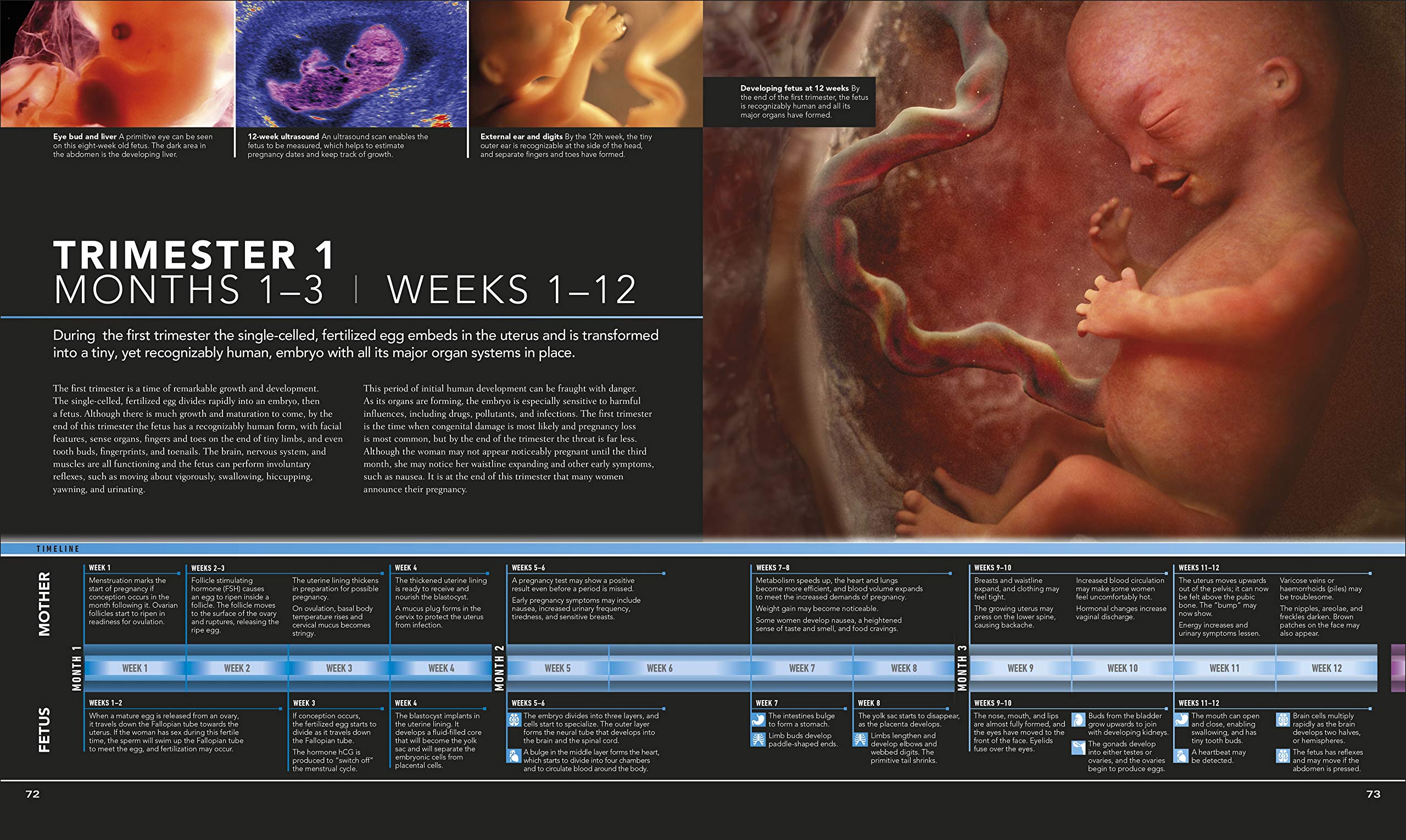 The Science of Pregnancy: The Complete Illustrated Guide from Conception to Birth