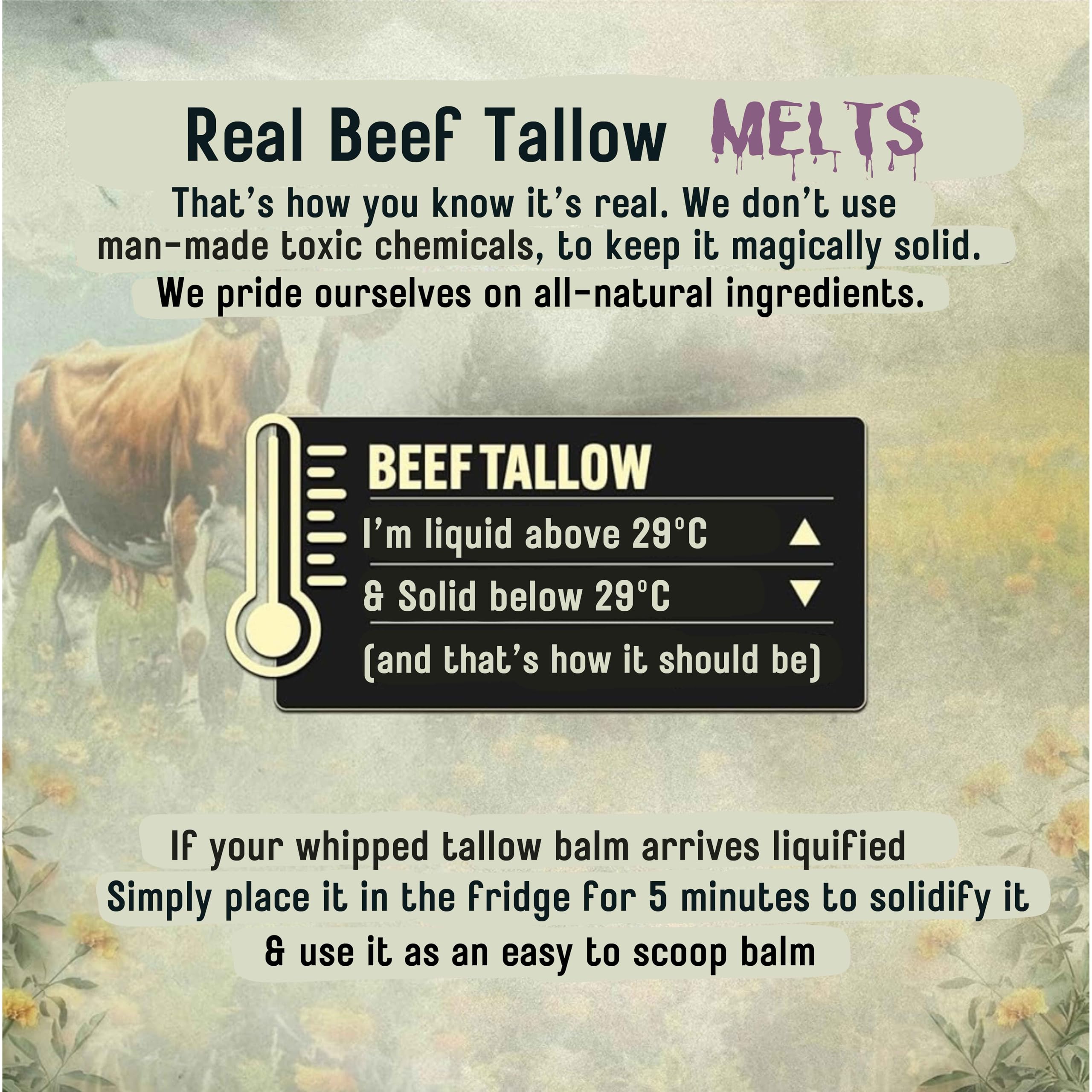 Beef Tallow Whipped Balm, Grass Fed Beef Tallow Face Cream & Moisturiser - Image 4