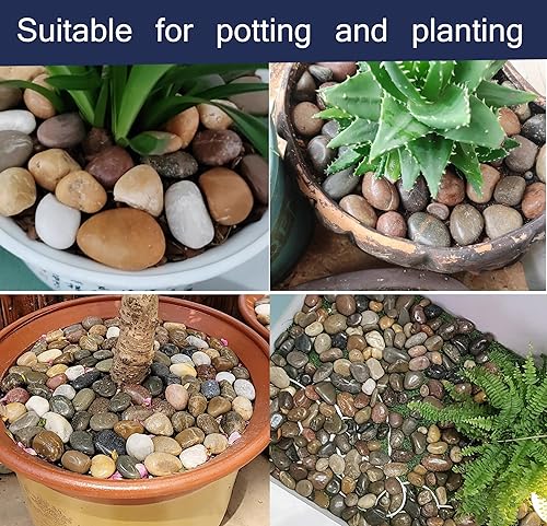 Miniatura 5 de Voulosimi Piedras de roca de río, piedras mixtas pulidas decorativas naturales, piedras decorativas para exteriores para acuarios de plantas,