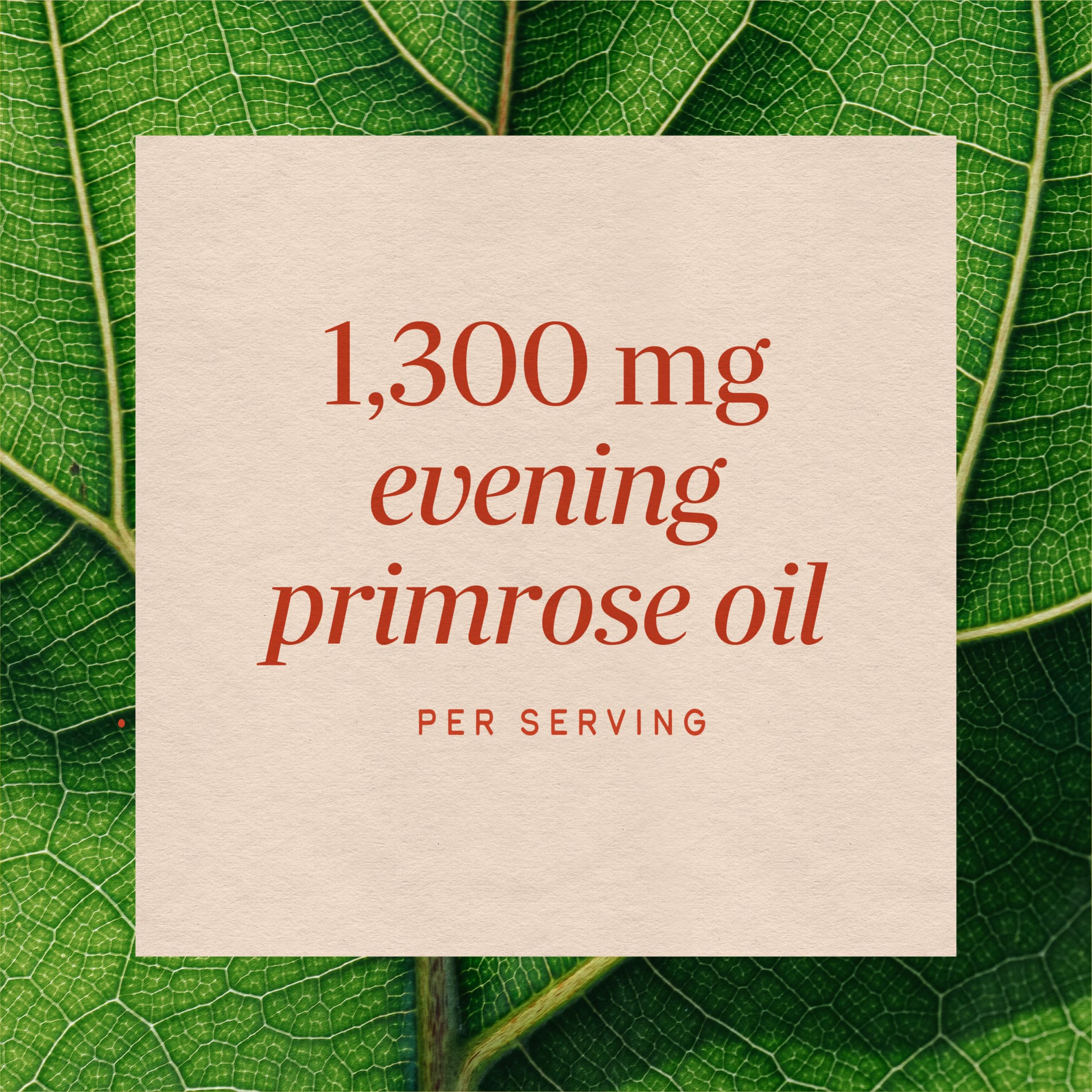 Nature's Way Evening Primrose Cold-Pressed Oil, GLA Supplement, 120 ct — Amazon image 3