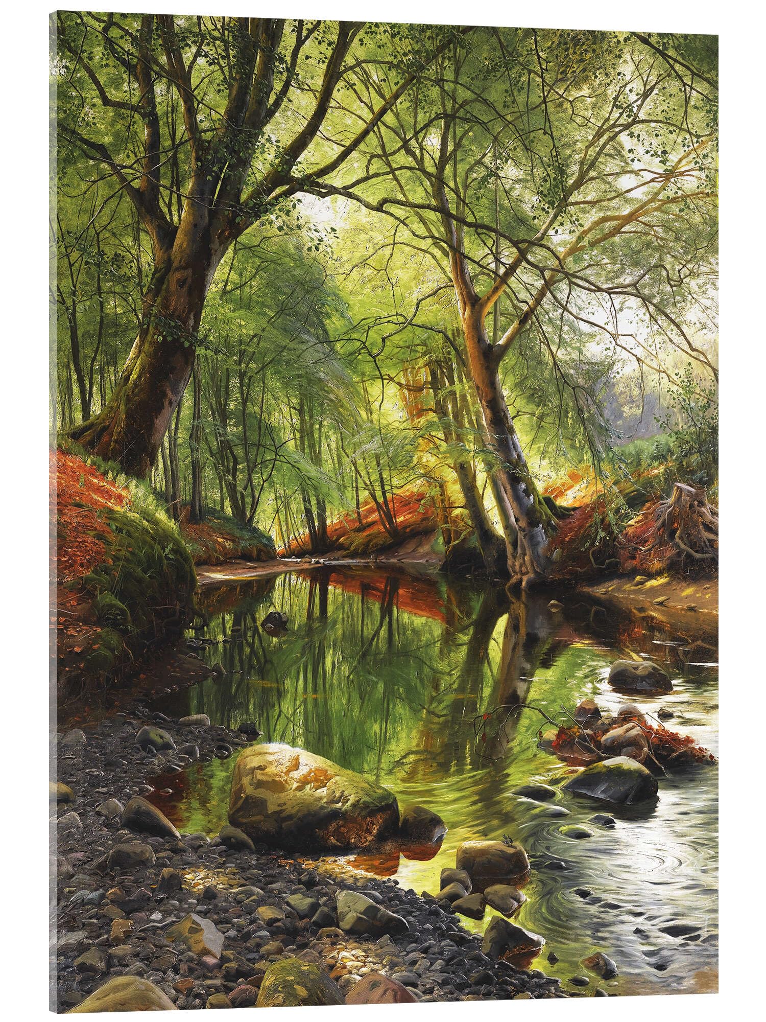 A woodland stream Obraz na szkle akrylowym