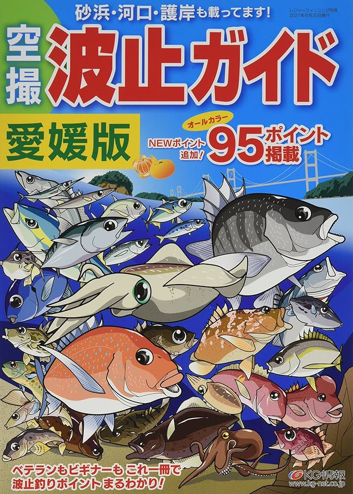 空撮ポイント 愛媛の海釣り 宇和海ガイドブック 空撮ポイント 愛媛の海釣り 宇和海